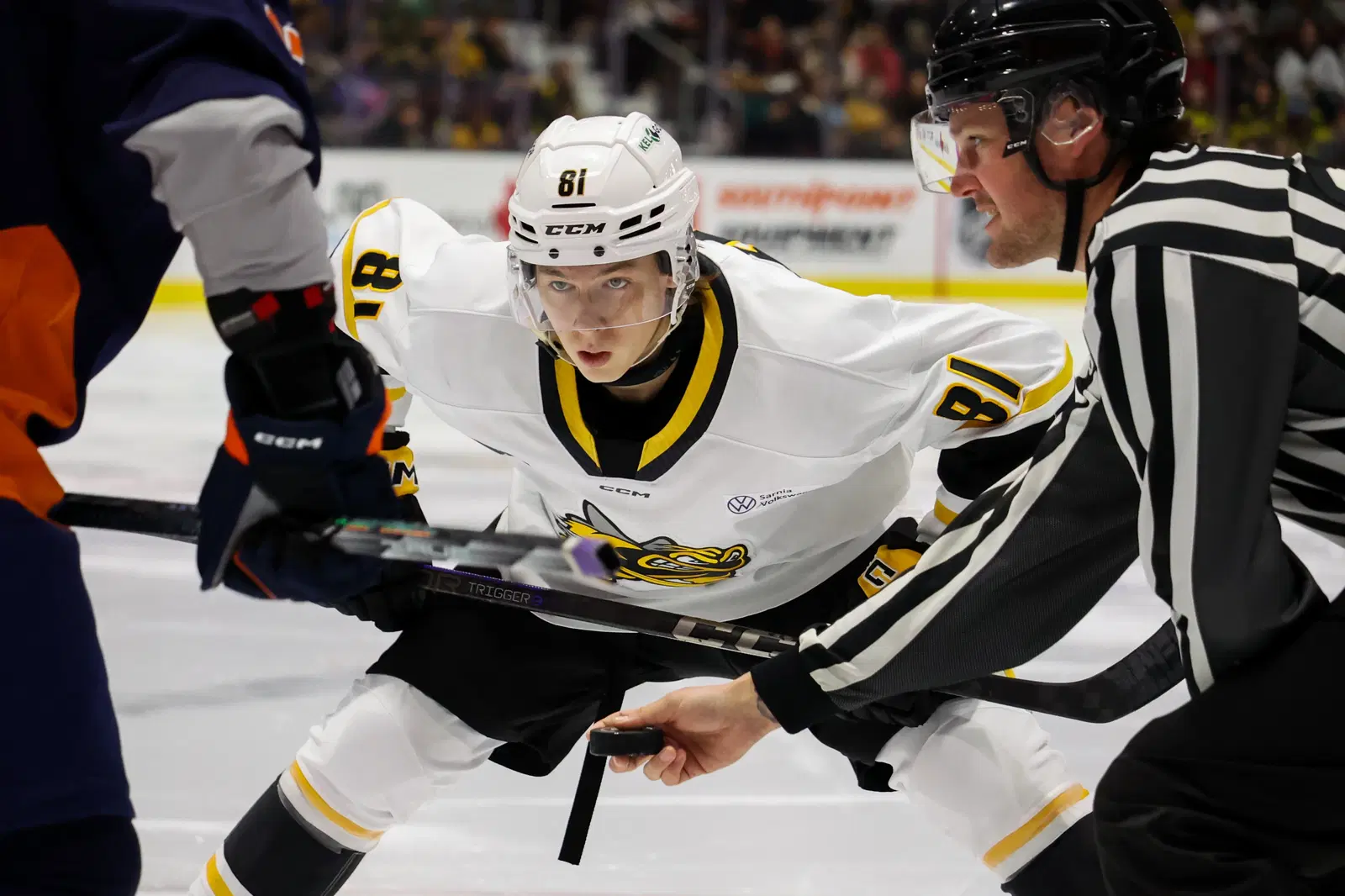 Top NHL Draft Prospect Beckham Edwards Commits to NCAA Notre Dame 