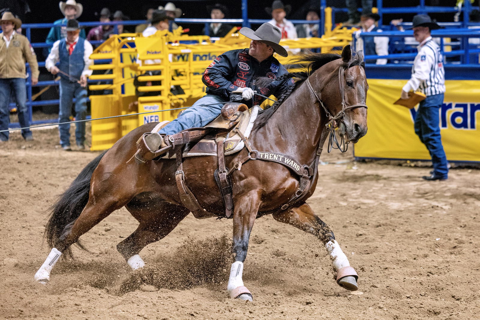Tyler Wade 2024 NFR - Hillary Mayberry