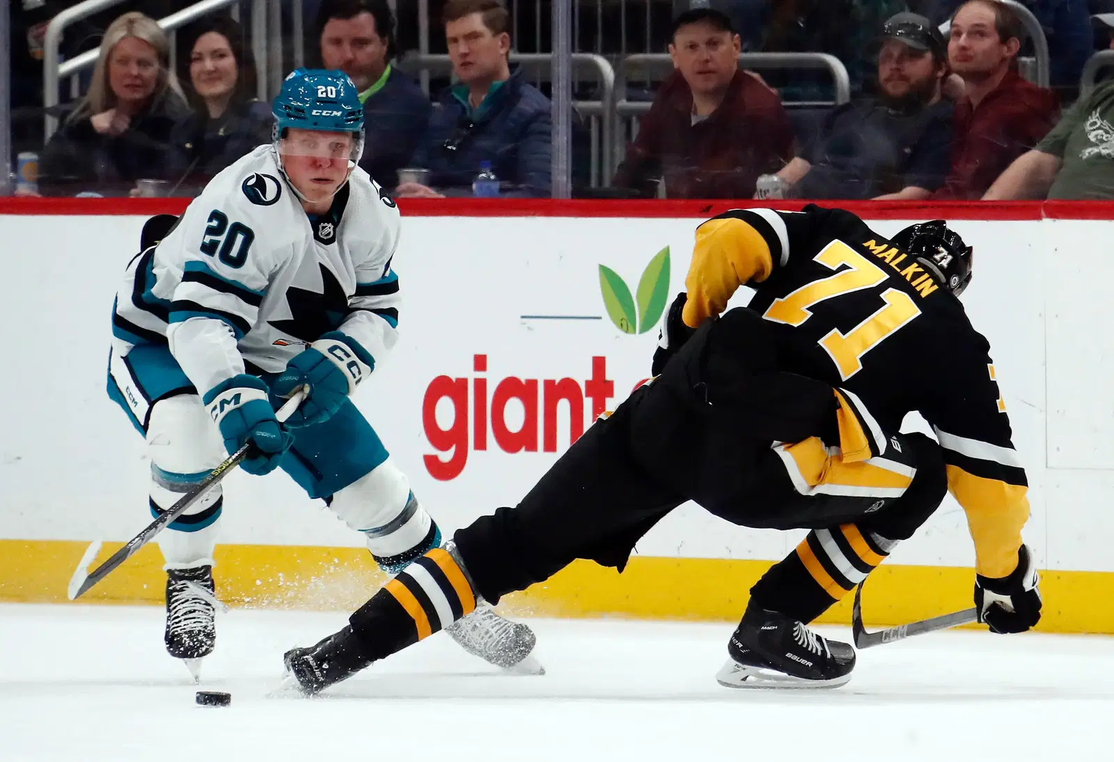 Fabian Zetterlund and Evgeni Malkin (Charles LeClaire-Imagn Images)