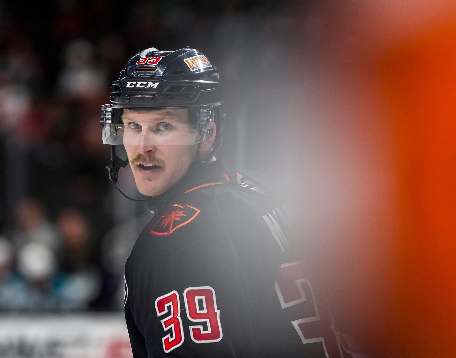 Firebirds Clinch Playoff Berth And Home Ice Advantage For Round One