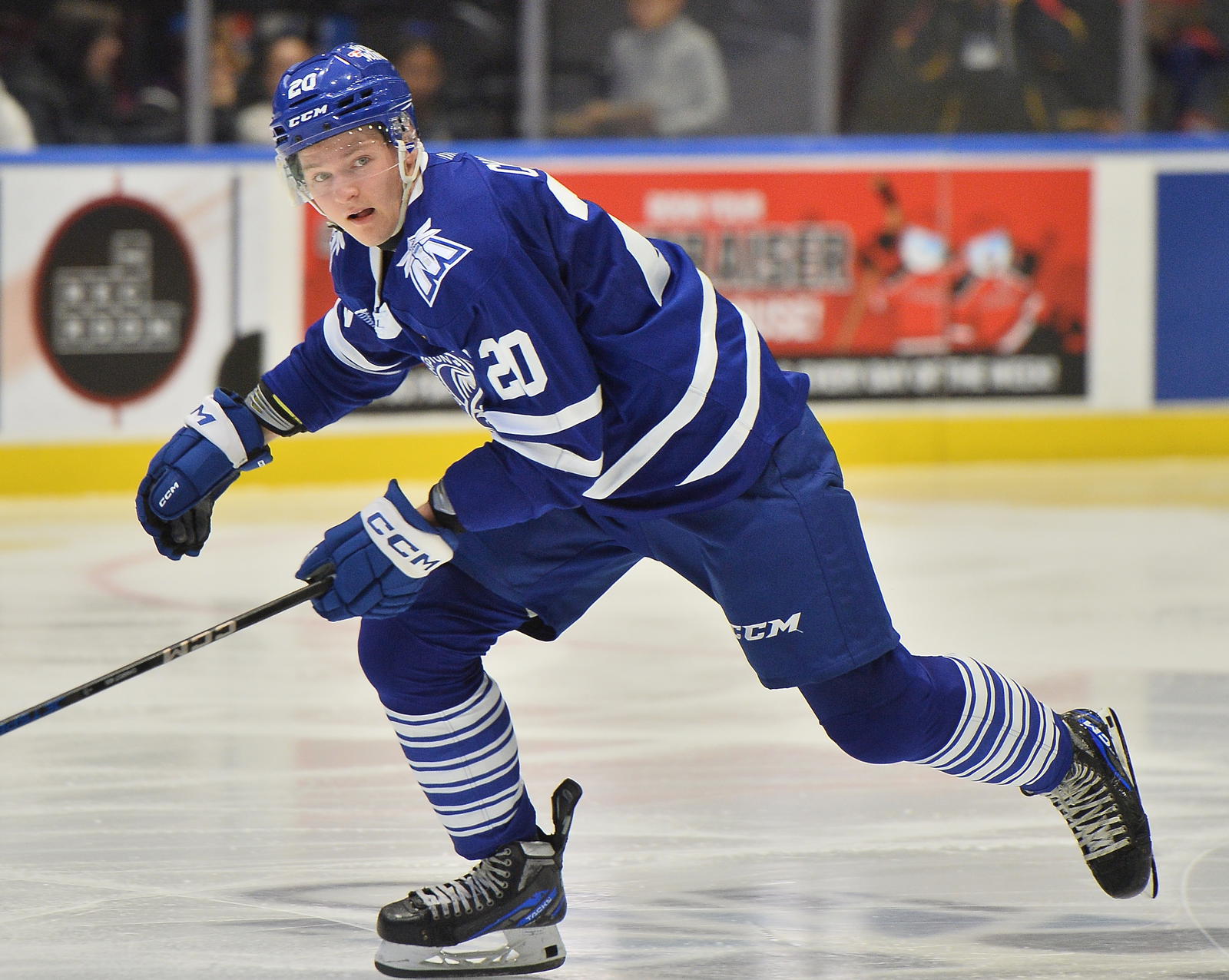<i>Brampton Steelheads forward Gabriel Chiarot. Photo credit: Terry Wilson/OHL Images</i>
