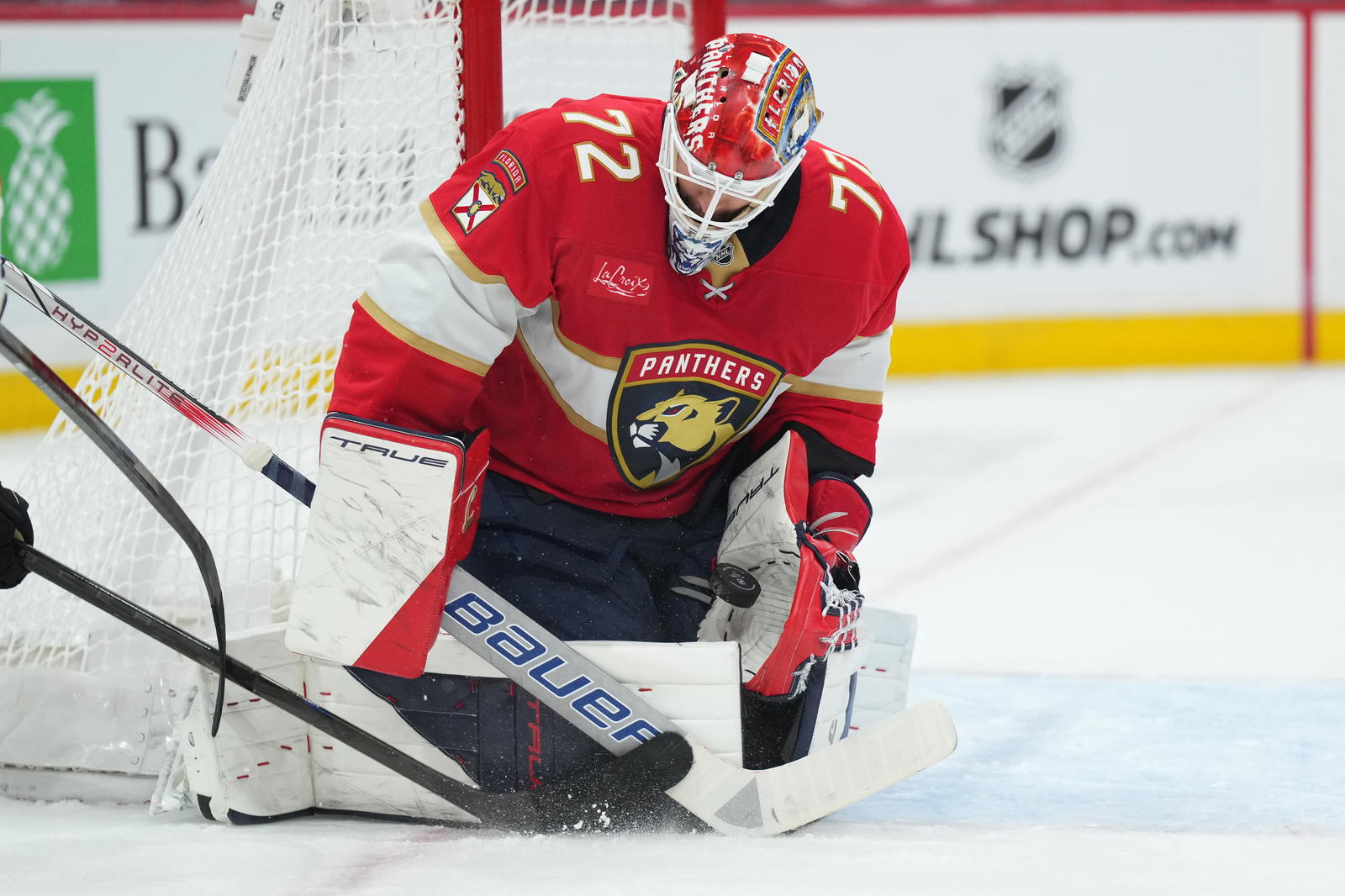 Sergei Bobrovsky (Jim Rassol-Imagn Images)