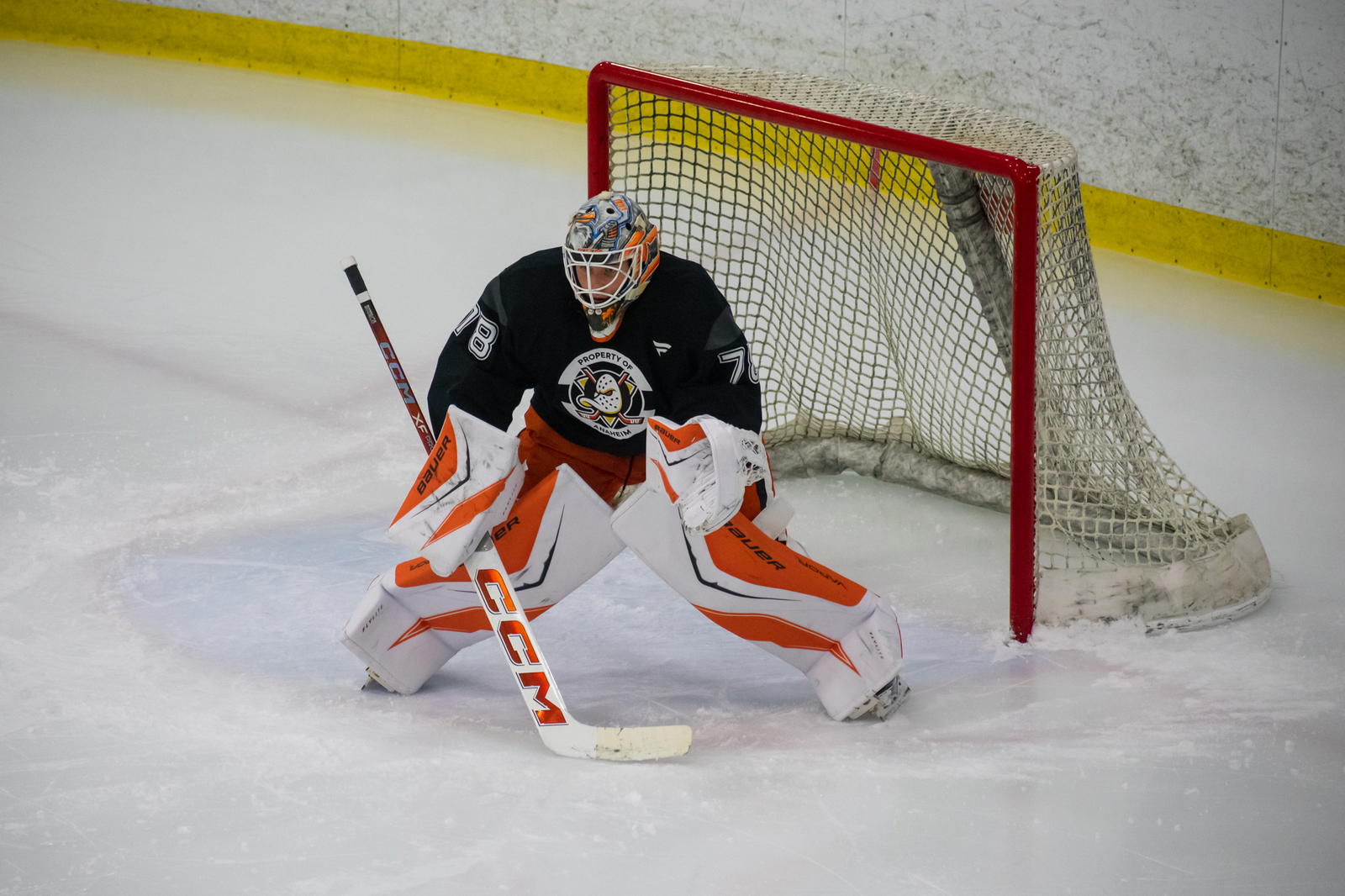 Photo Credit: Derek Lee-The Hockey News