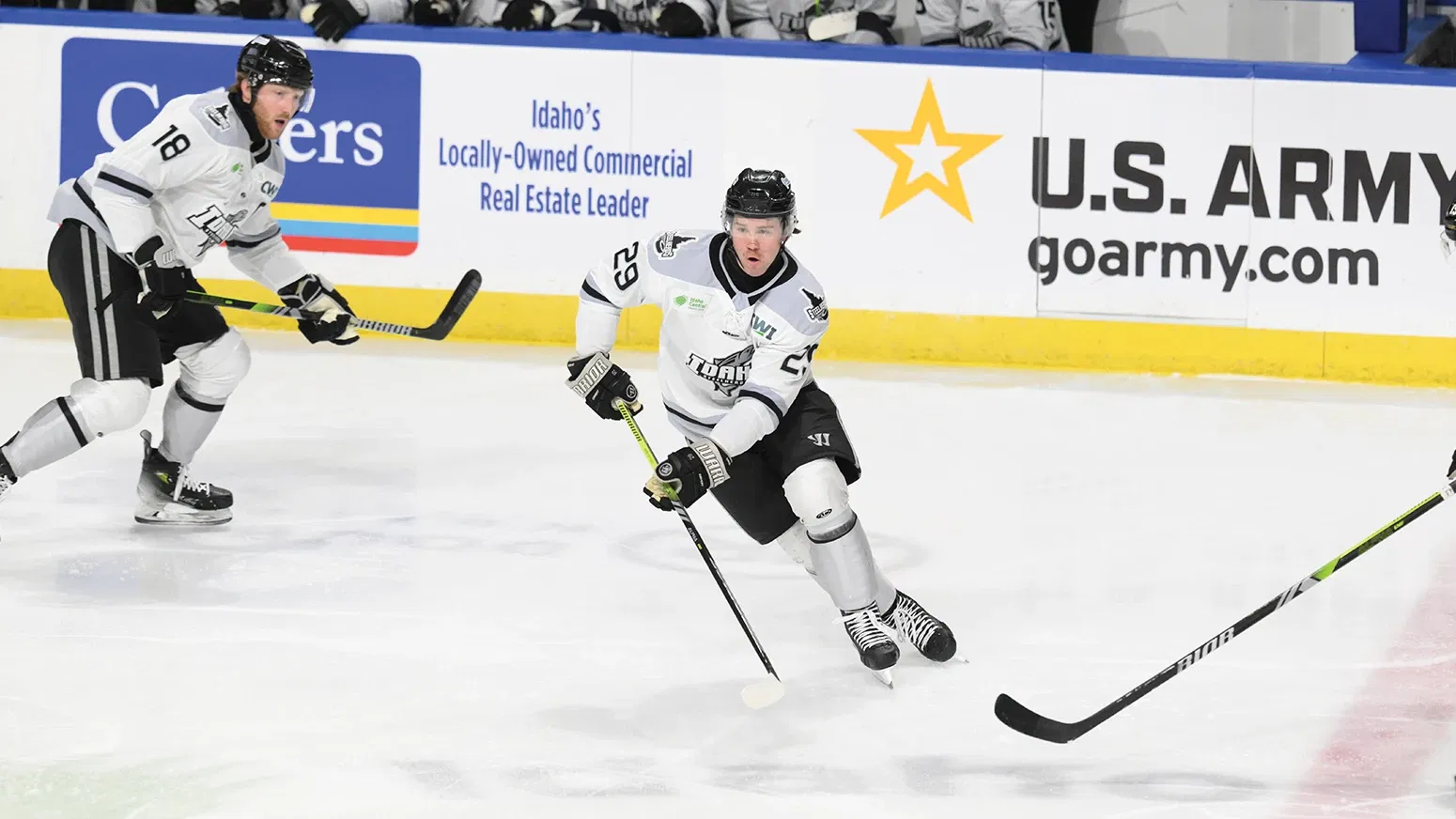 Steelheads To Host NHL Pre-Season Game