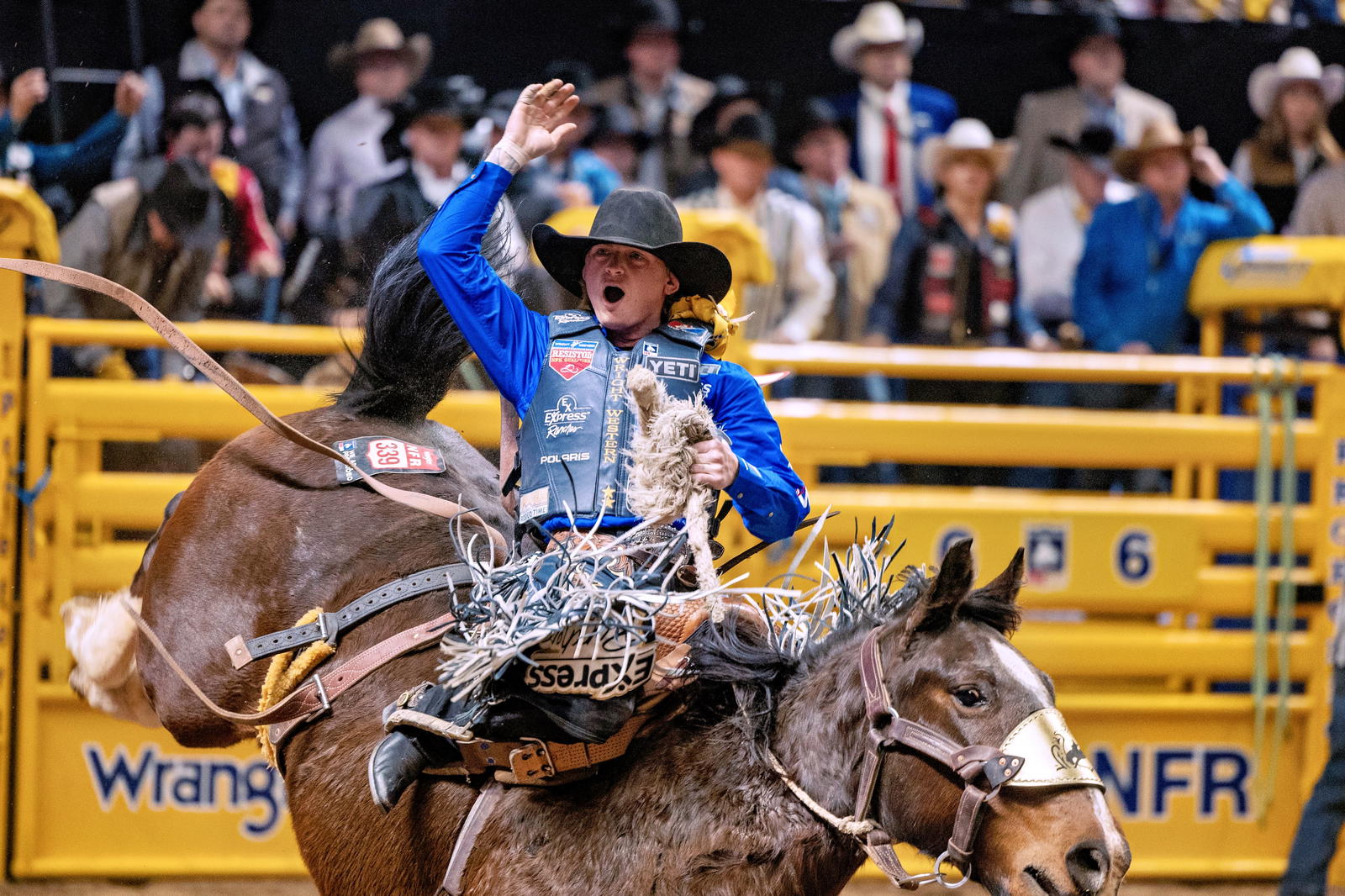 Ryder Wright 2024 NFR - Hillary Maybery
