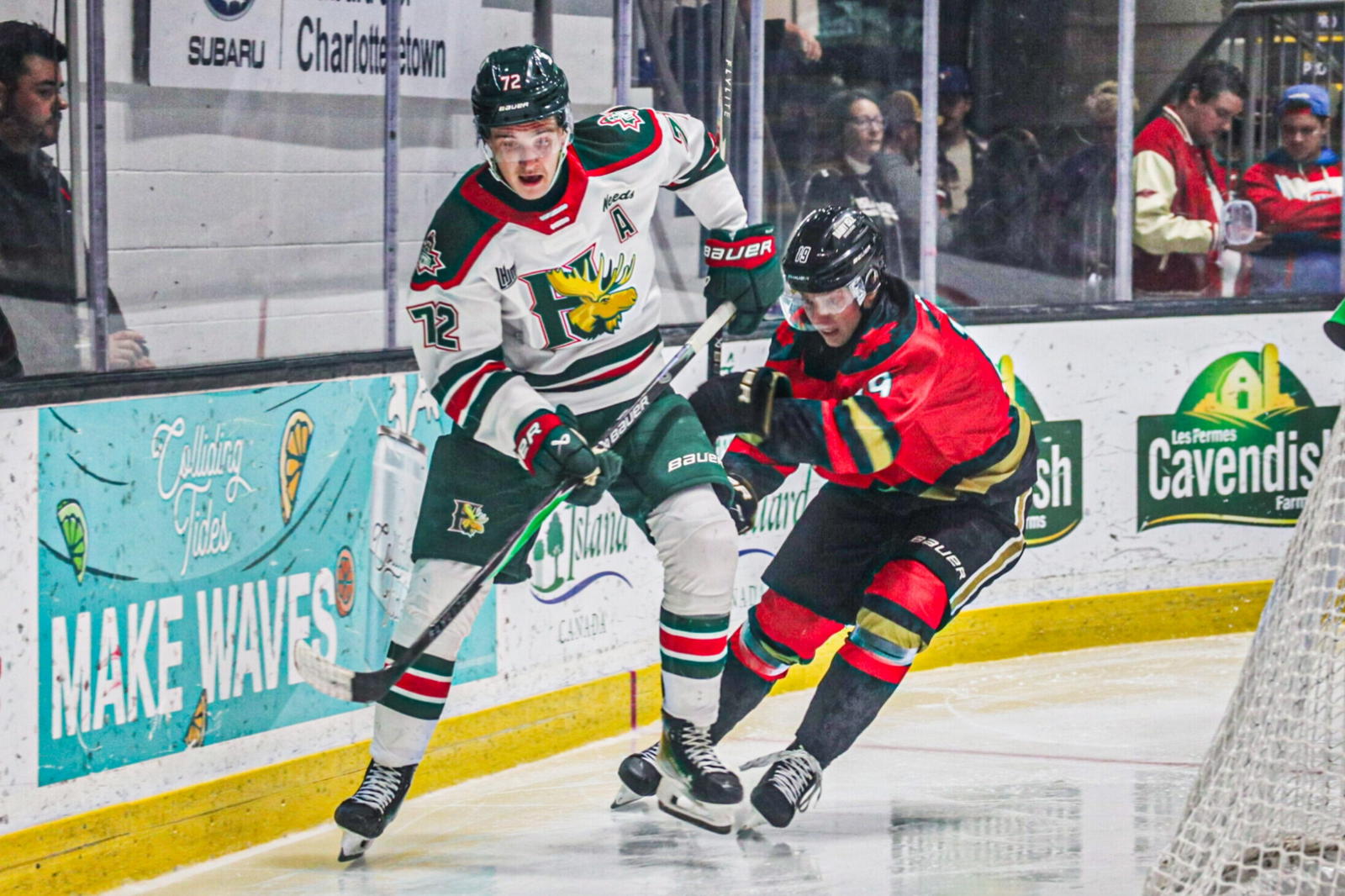 Mooseheads assistant captain Mathieu Taillefer recorded an assist in Halifax's win over Charlottetown on Saturday. (Photo: Noah Murray)