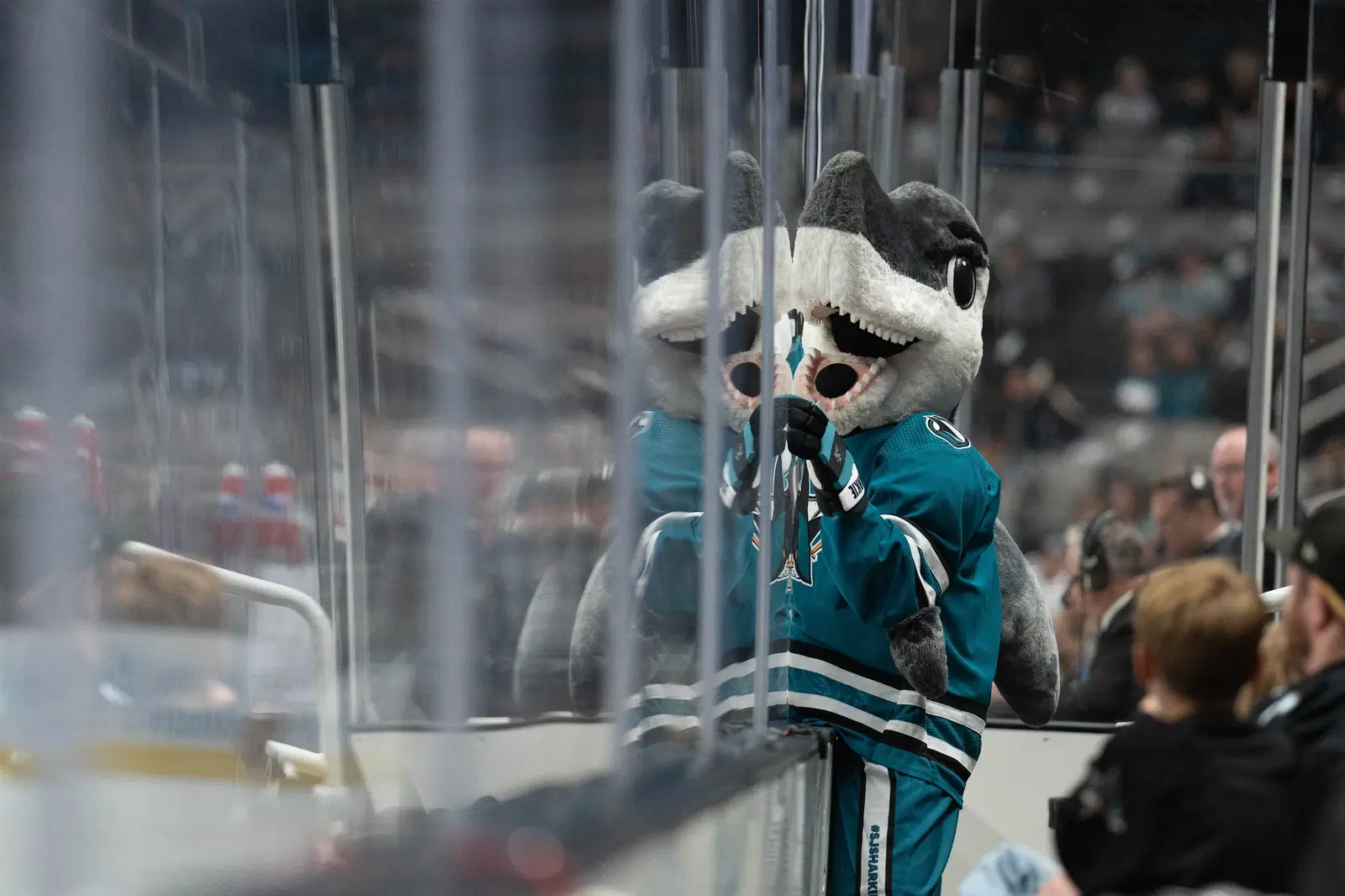 S.J Sharkie Named Mascot of the Year