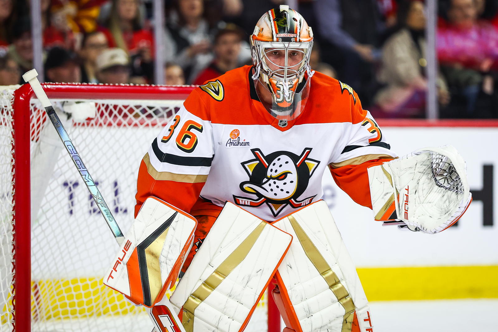 Jan 30, 2025; Calgary, Alberta, CAN; Anaheim Ducks goaltender John Gibson (36) guards his net against the Calgary Flames during the second period at Scotiabank Saddledome. Mandatory Credit: Sergei Belski-Imagn Images