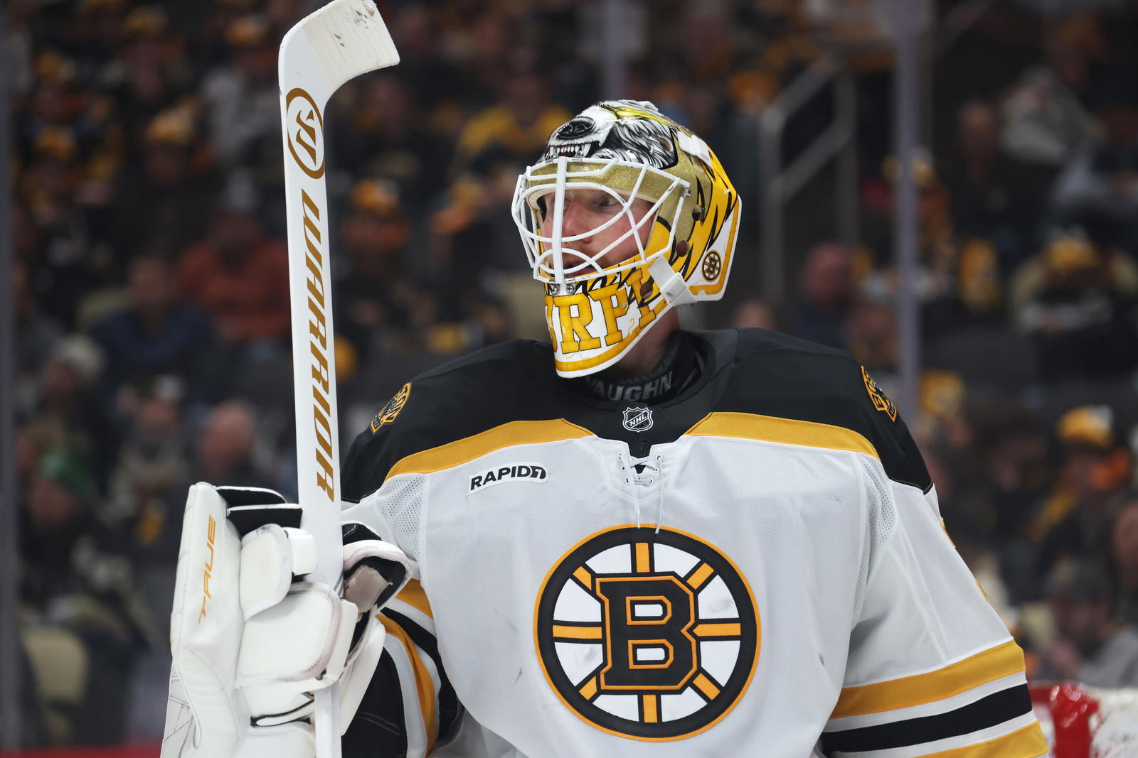 Joonas Korpisalo (© Charles LeClaire-Imagn Images)