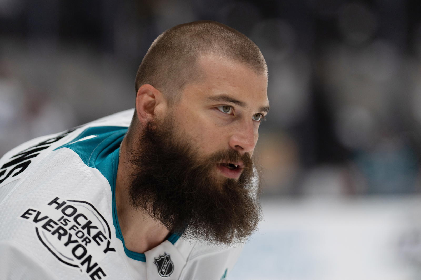 From The Archive: Here Come The Nerves