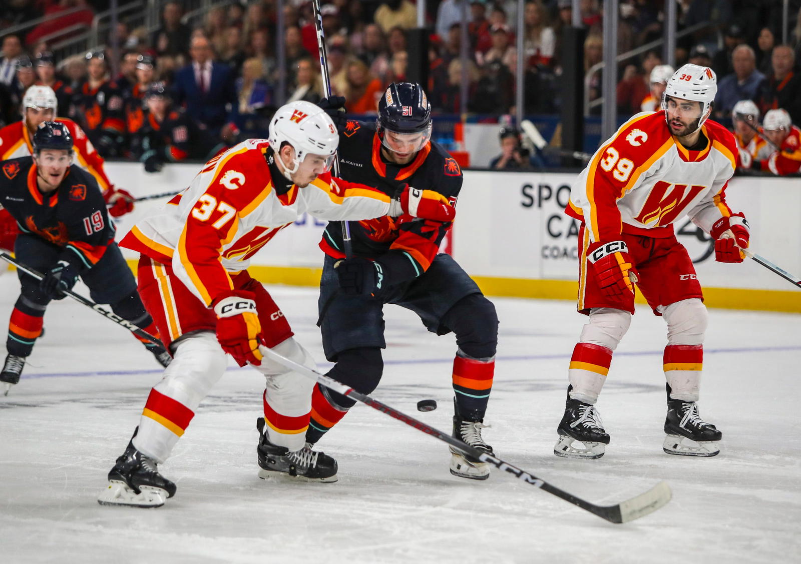 © Andy Abeyta/The Desert Sun / USA TODAY NETWORK