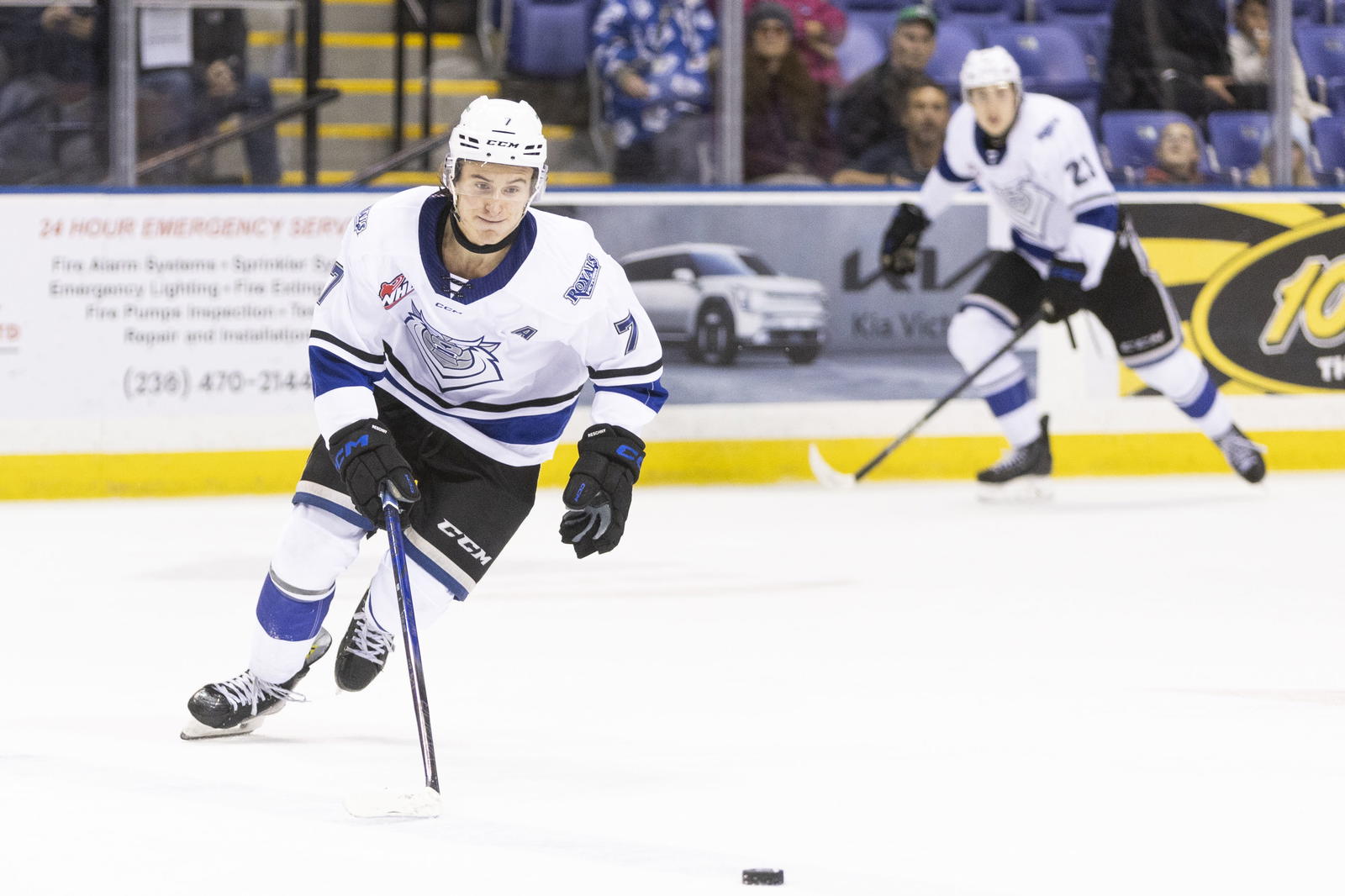 Cole Reschny of the Victoria Royals (Photo Credit: Kevin Light/Victoria Royals/WHL)
