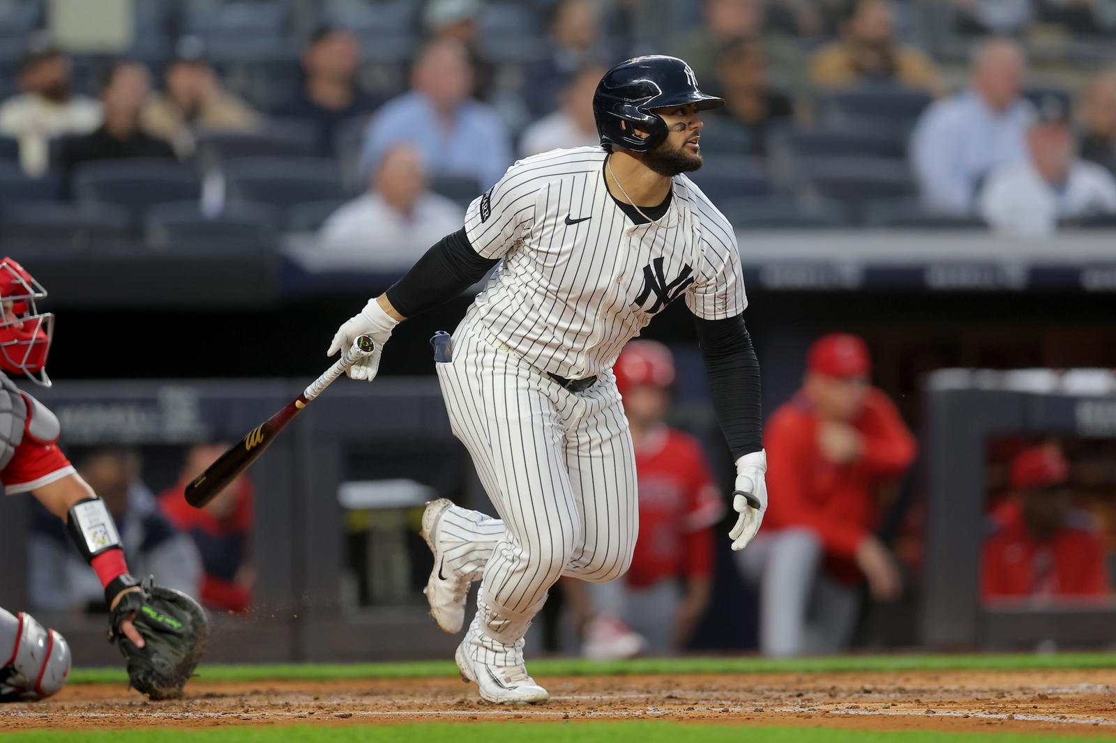 New York Yankees outfielder Jasson Dominguez. Credit: Brad Penner-Imagn Images.