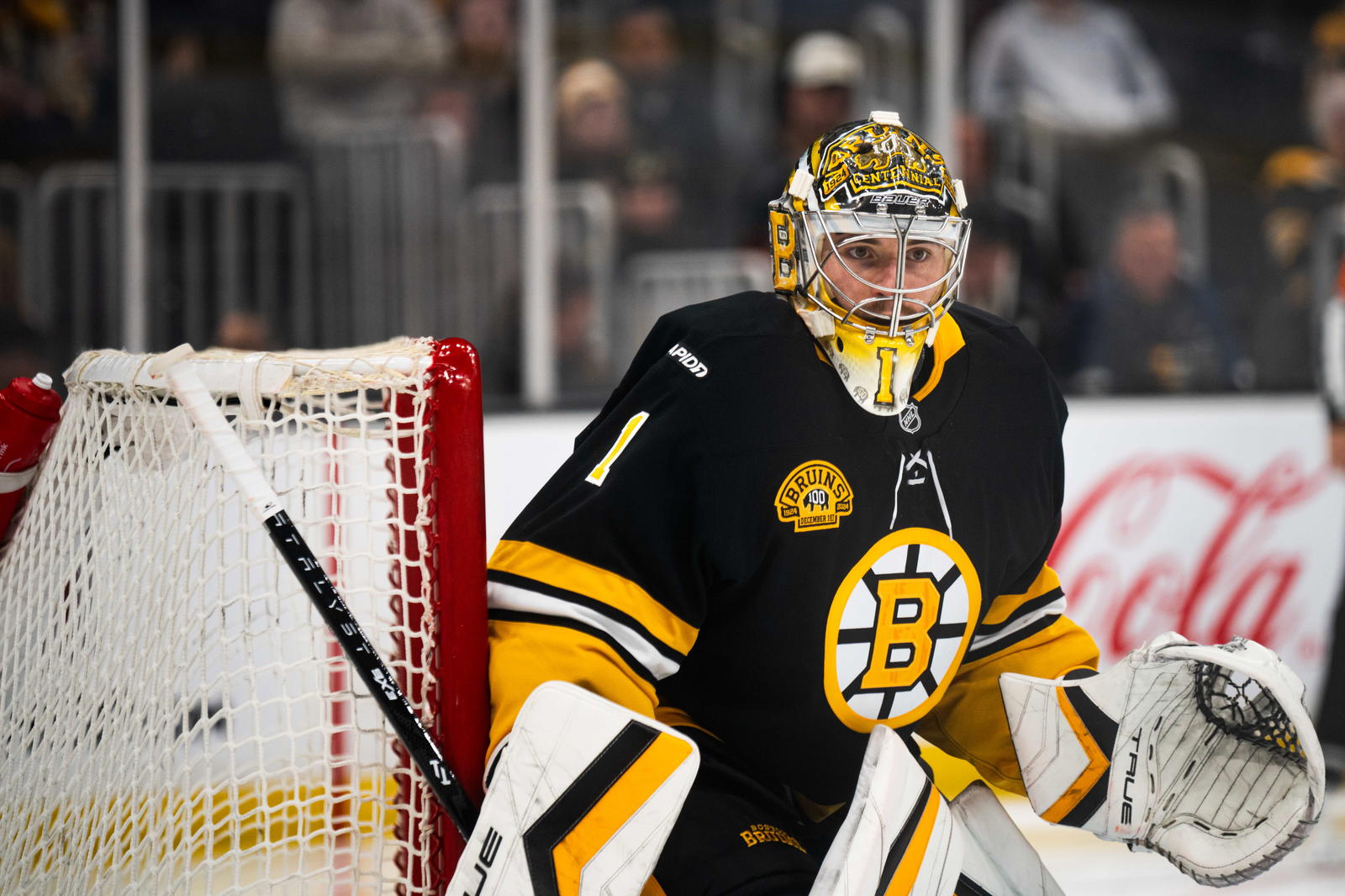 Jeremy Swayman (© Natalie Reid-Imagn Images)