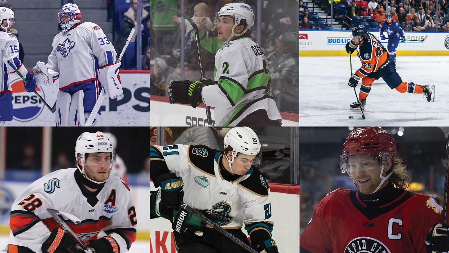 Photo Courtesy of the ECHL