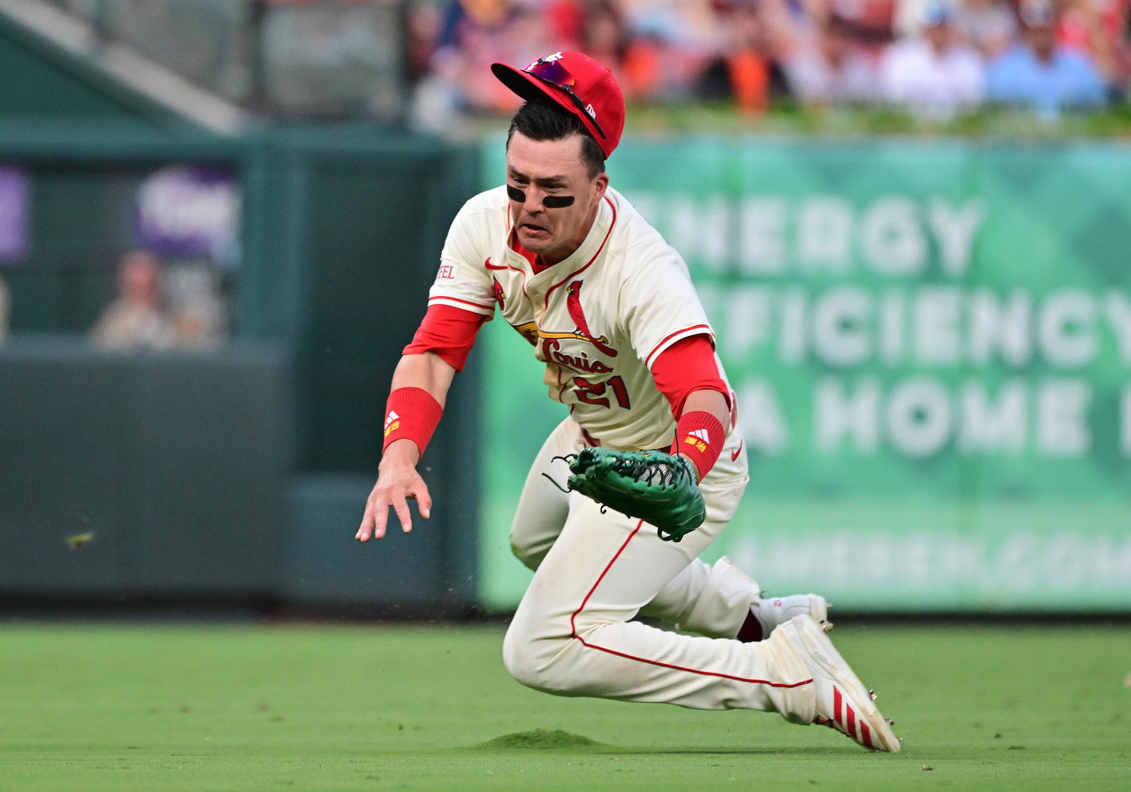 St. Louis Cardinals outfielder Lars Nootbaar (21) makes the catch on a fly ball to left field by San Francisco Giants catcher Patrick Bailey (14) in the second inning at Busch Stadium. Tim Vizer-Imagn Images