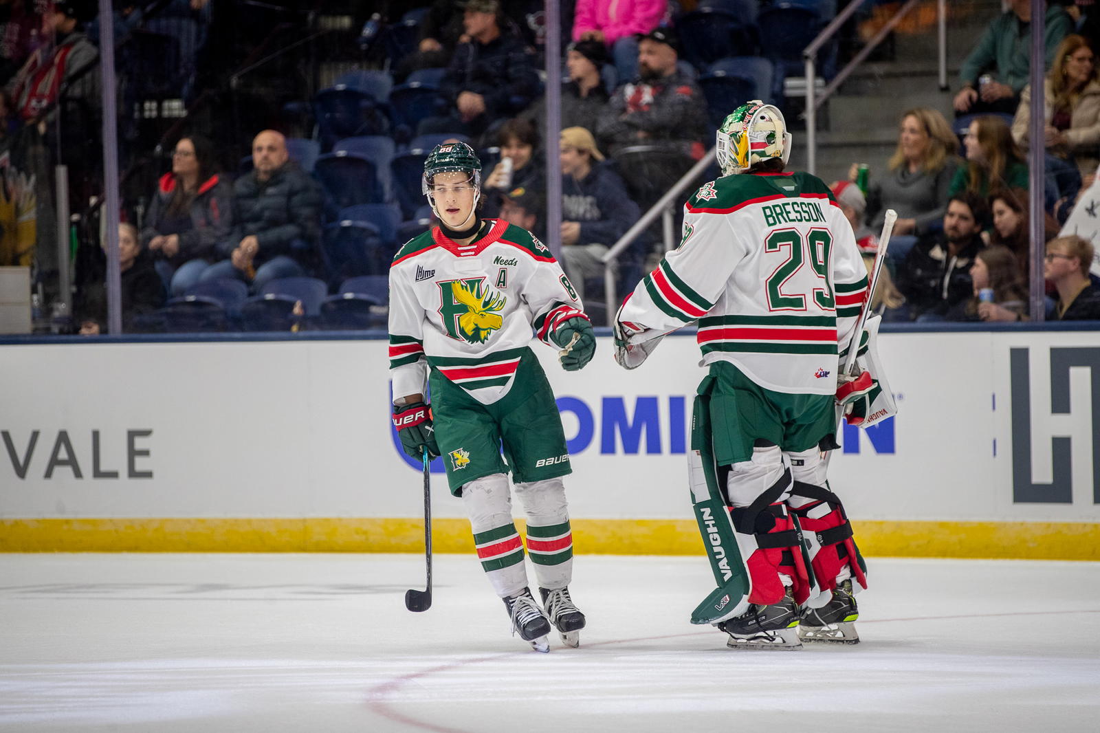 Mooseheads assistant captain Quinn Kennedy gives a fist bump to goaltender Owen Bresson after a goal. (Photo: Jeff Parsons)