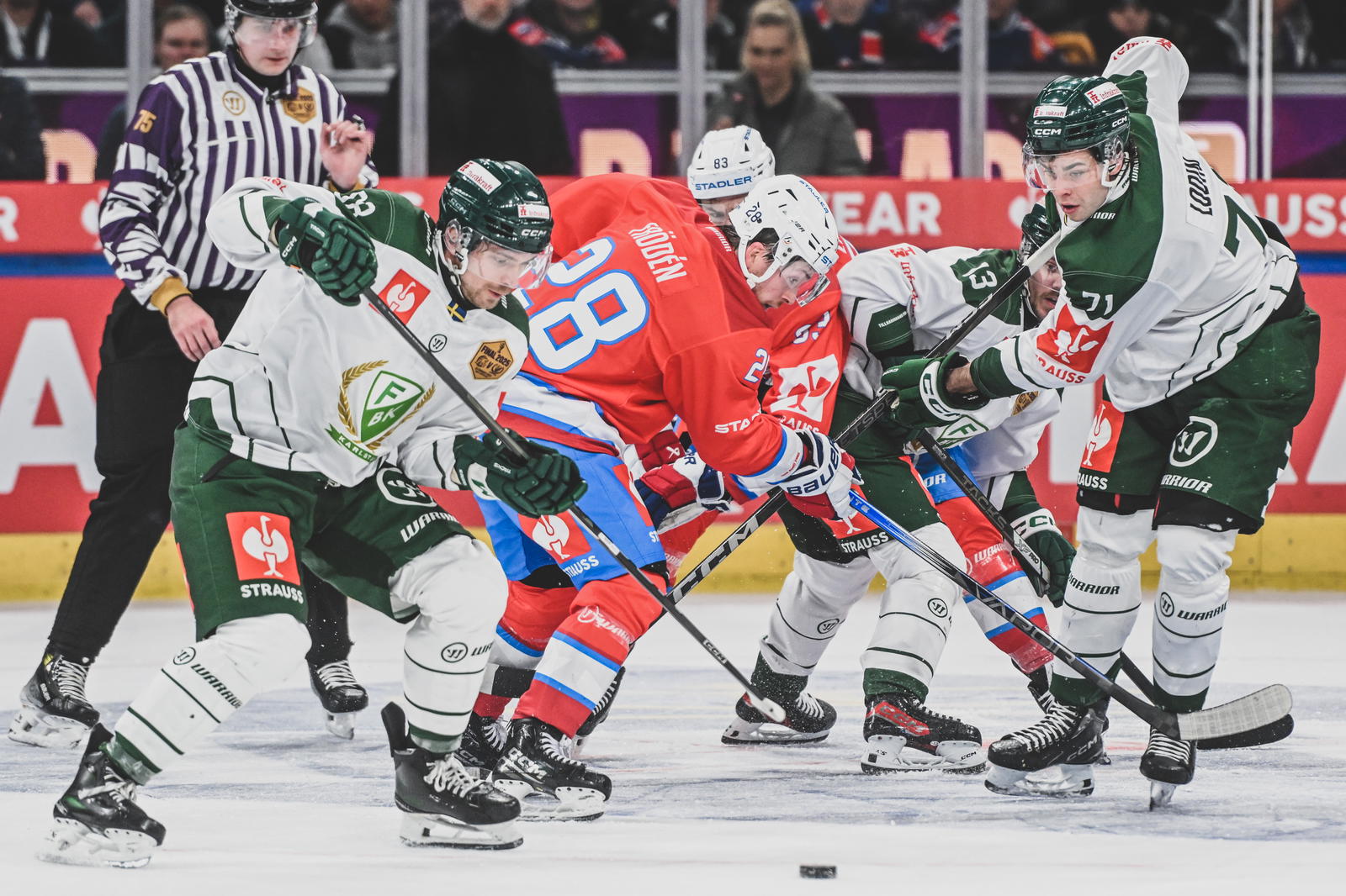 Action from the Champions Hockey League final in February between champions ZSC Lions Zurich from Switzerland and Färjestad Karlstad from Sweden. Photo: Melanie Duchene / Champions Hockey League 