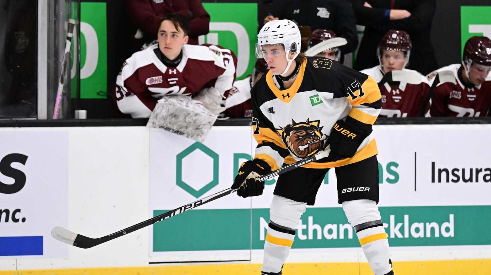 Guelph Adds Blueline Depth In Former Top Defense Prospect; Brantford Acquires Draft Capital 