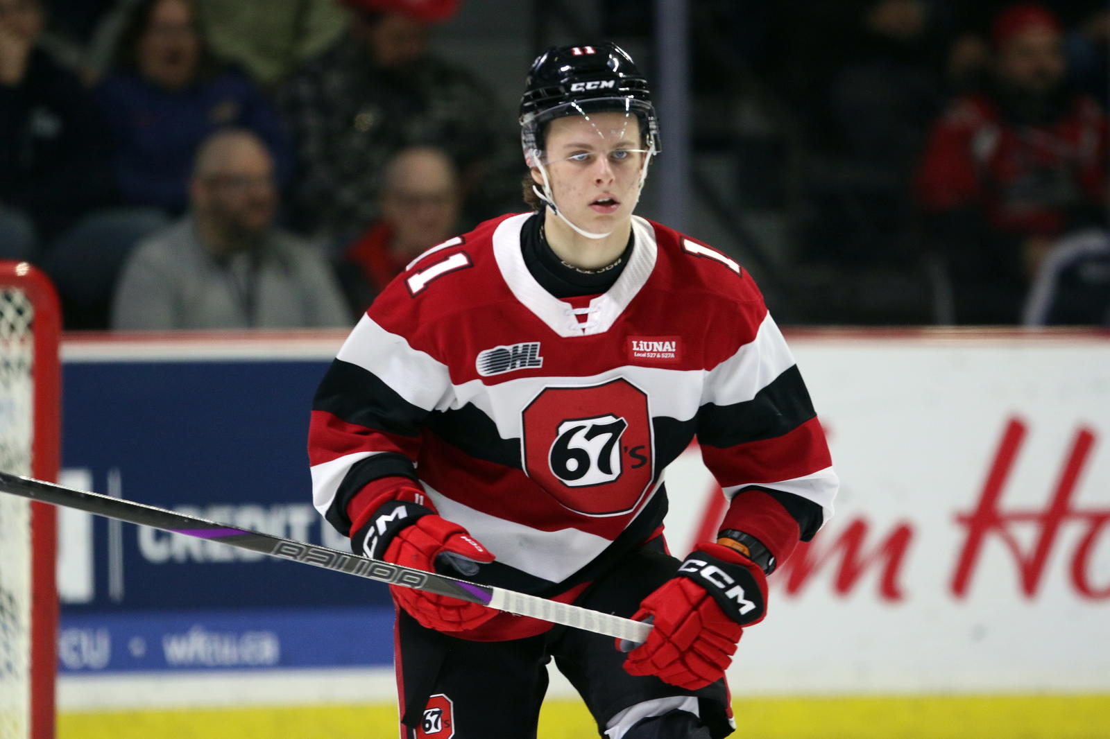 Henry Mews' Commitment Shows Why The OHL Could Be In Trouble?