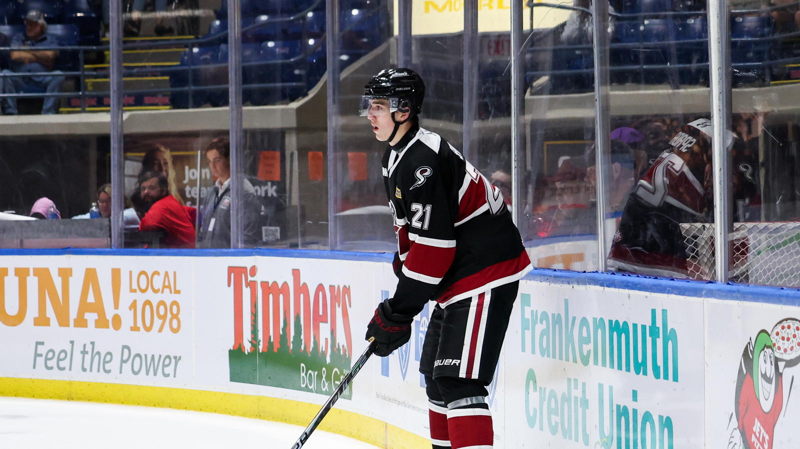 Tampa Bay Prospect, Guelph Defenseman Suspended Pending League Review