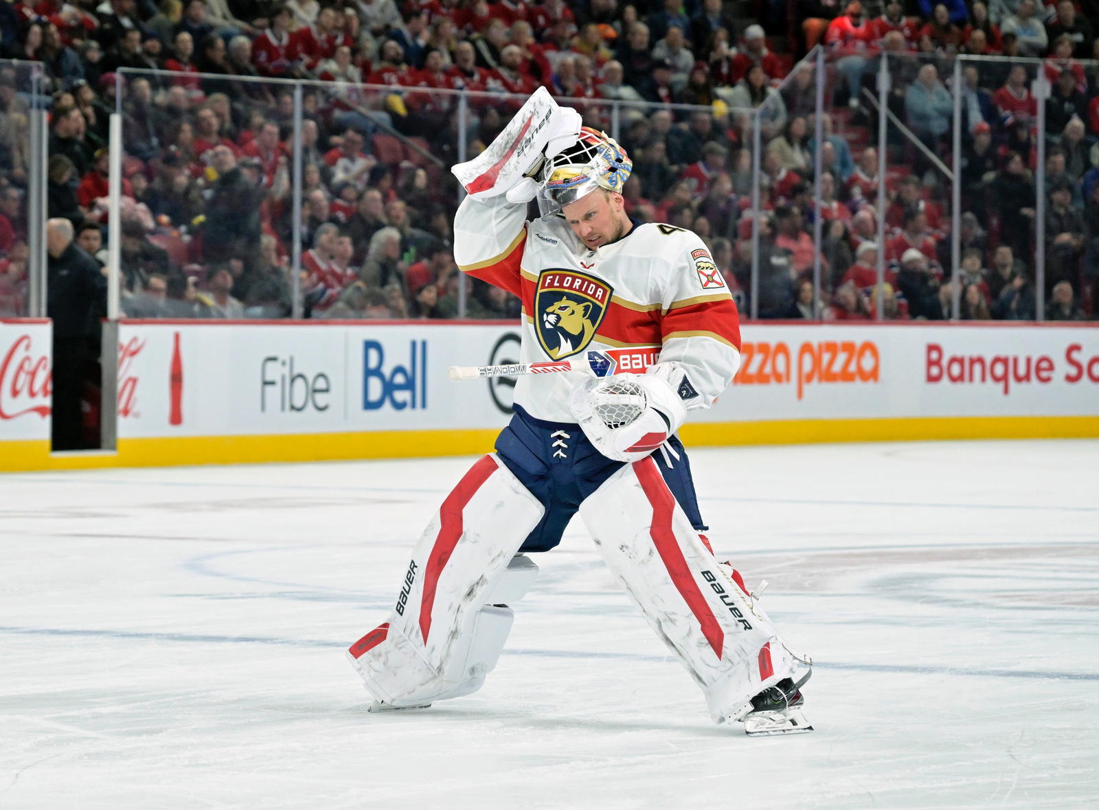 Getting To Know Utah Mammoth's Vitek Vanecek