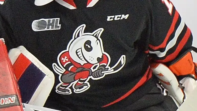 Niagara IceDogs Import Player Roster Finalized; Sign Third Pick From The 2025 CHL Import Draft