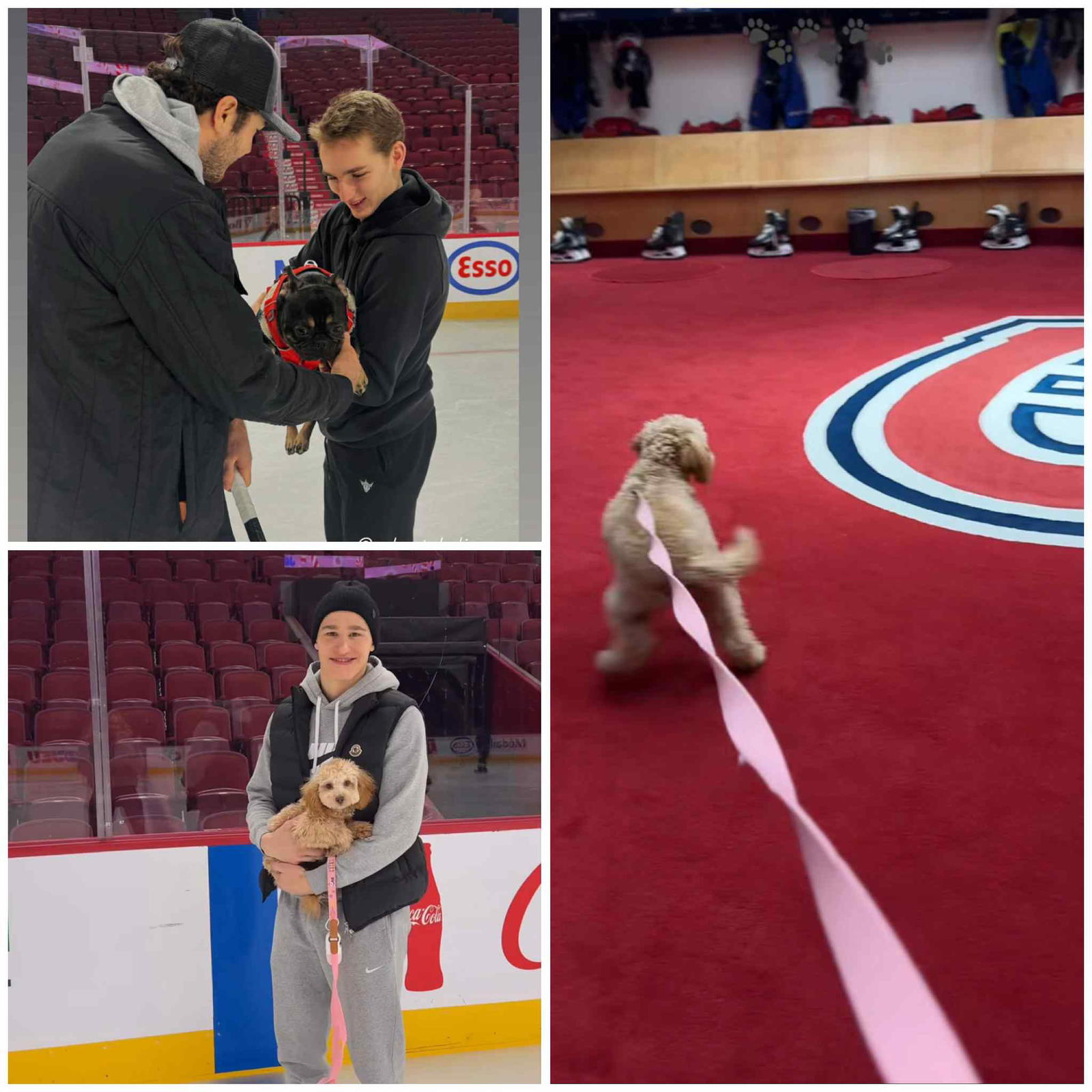 Alexa Dobson Instagram and Katya Yakovleva Instagram