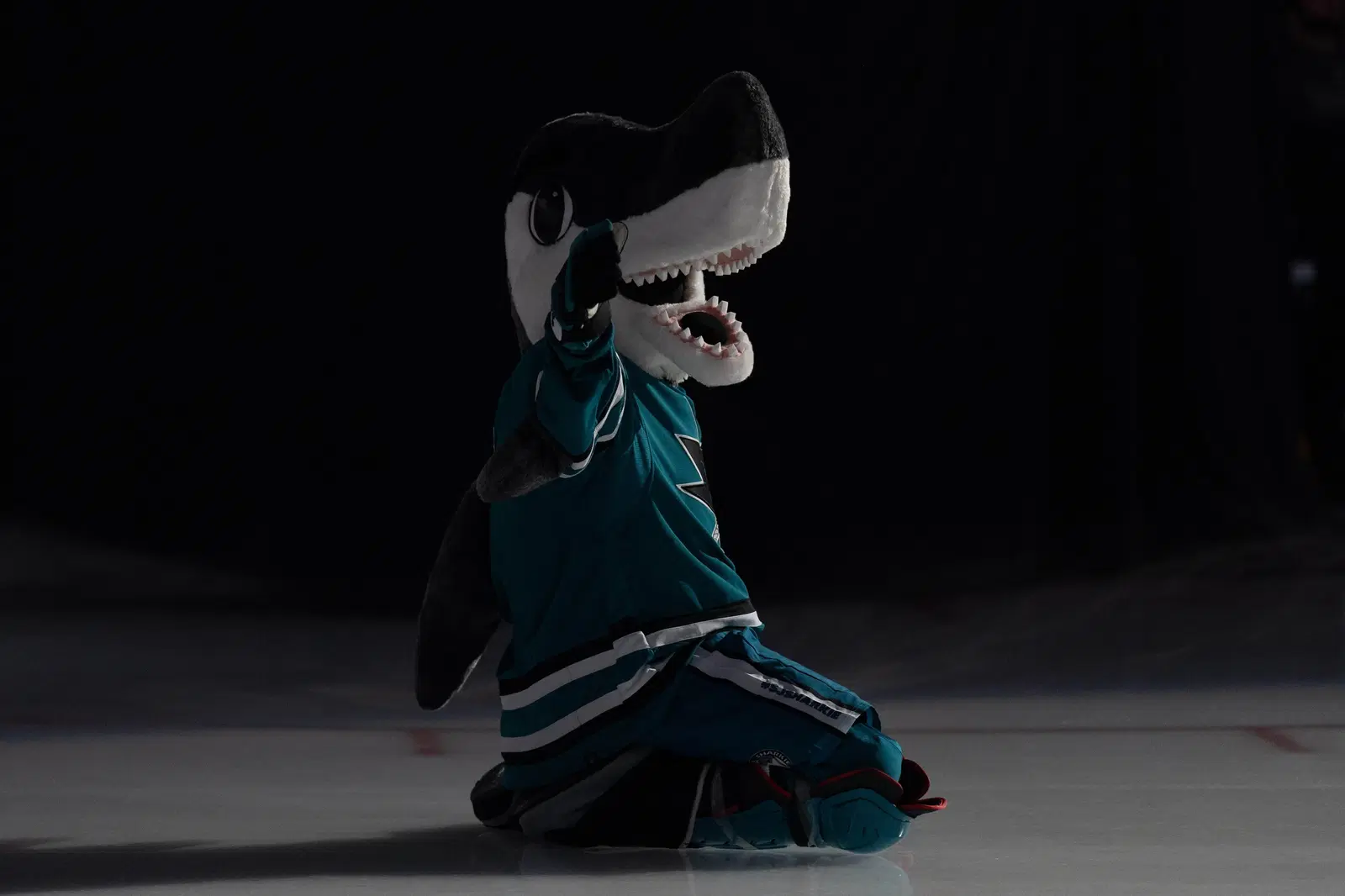 From the Archive: Sharks Bite Back