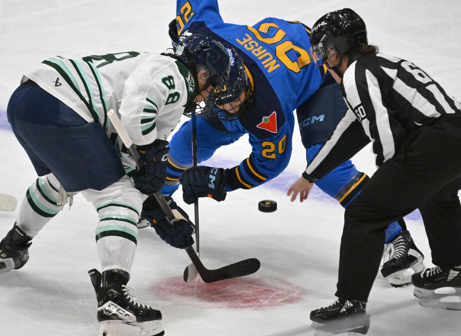 Nov 30, 2024; Toronto, ON, CANADA; Boston Fleet forward Lexie Adzija (88) takes a faceoff against Toronto Sceptres forward Sarah Nurse (20) in the first period at Coca-Cola Coliseum. Mandatory Credit: Dan Hamilton-Imagn Images