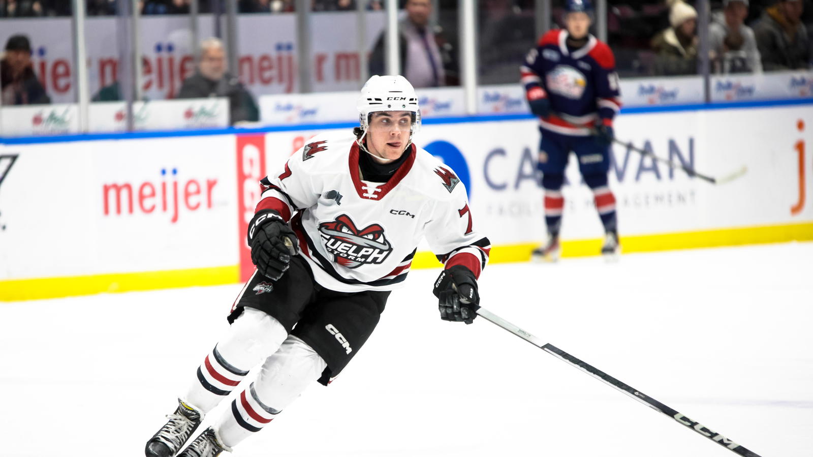 <i>Guelph Storm forward Jett Luchanko (7).&nbsp;Photo credit: Natalie Shaver/OHL Images</i>
