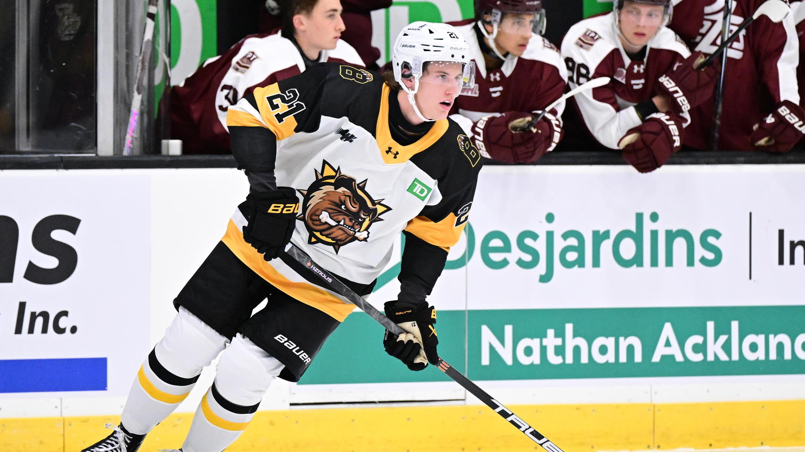 <i>Brantford Bulldogs forward Sam McCue. Photo credit: Brandon Taylor/OHL Images</i>