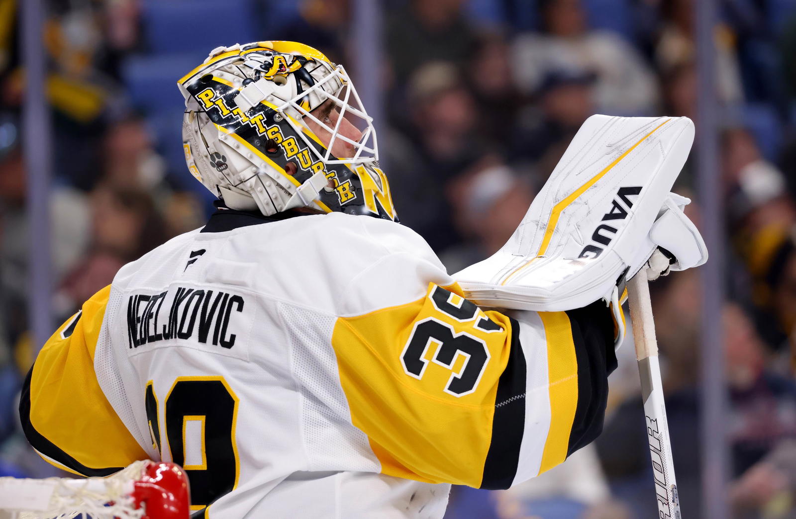Sharks Acquire Alex Nedeljkovic From Penguins 
