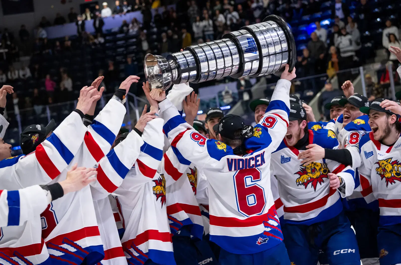 Wildcats Win QMJHL Championship, Beat Memorial Cup Hosts' Océanic In Six