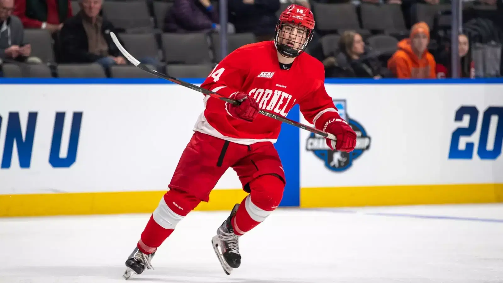 #14 Ryan Walsh looks looks for an open lane in a game for the Cornell Big Red. via cornellbigred.com