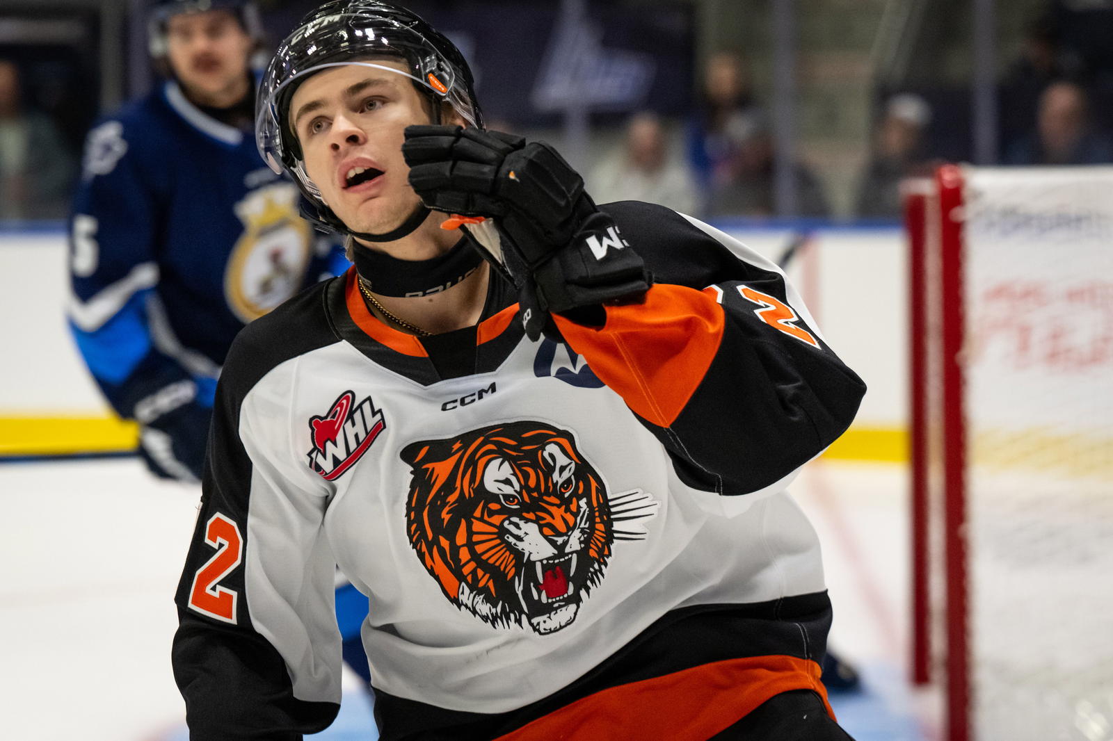 Credit: Vincent Ethier