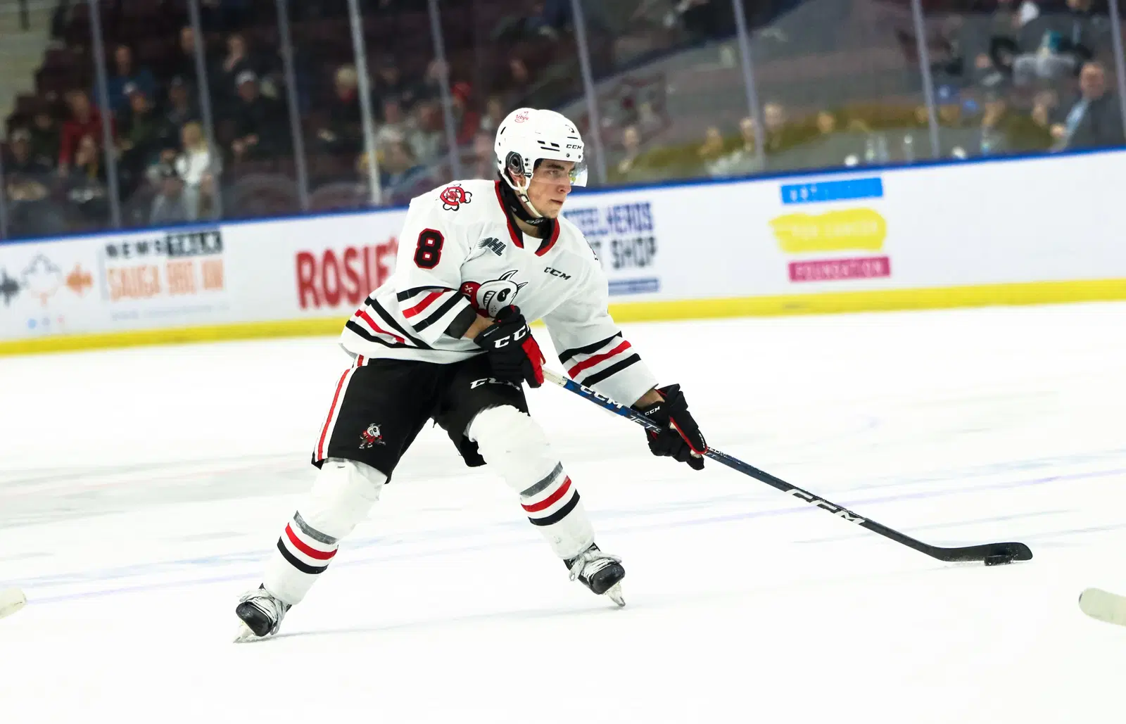 IceDogs And Colts Swap Overage Players In Offseason Trade