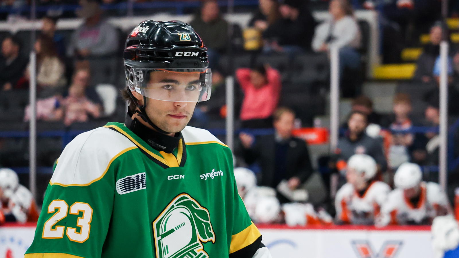 <i>London Knights forward Sam O'Reilly (23) named the new captain of the London Knights. Photo credit:&nbsp;Natalie Shaver/OHL Images</i>