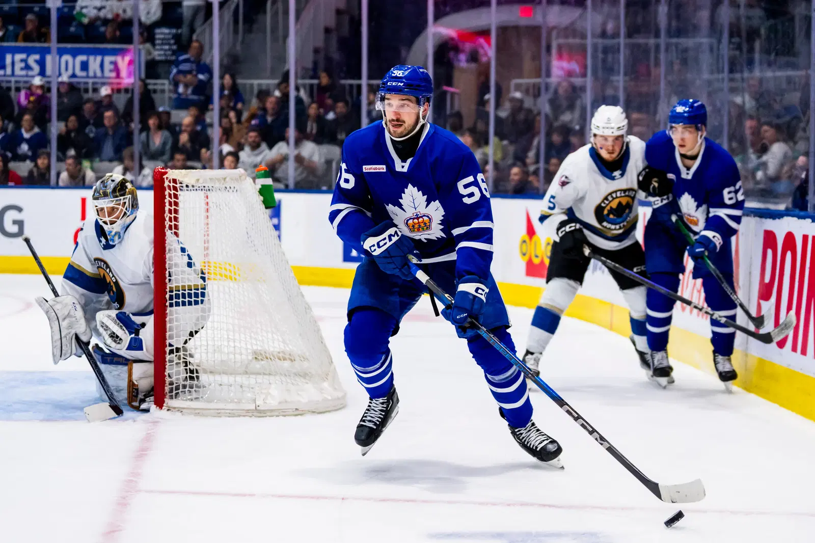 Maple Leafs Re-Sign Fowards Cedric Pare And Sam Stevens To Marlies Contracts cover image