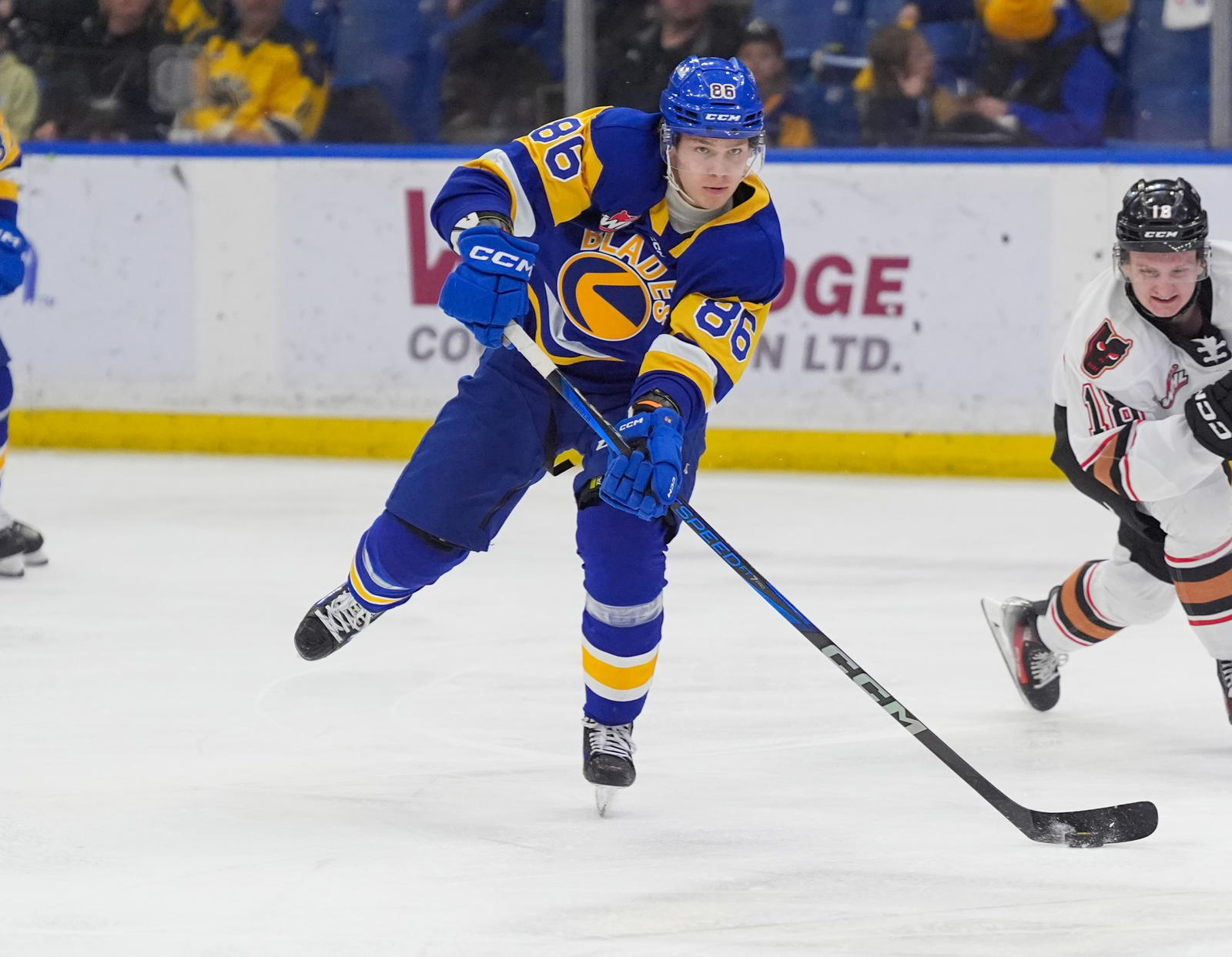 Saskatoon Blades forward David Lewandowski (Photo by Steve Hiscock/Saskatoon Blades)