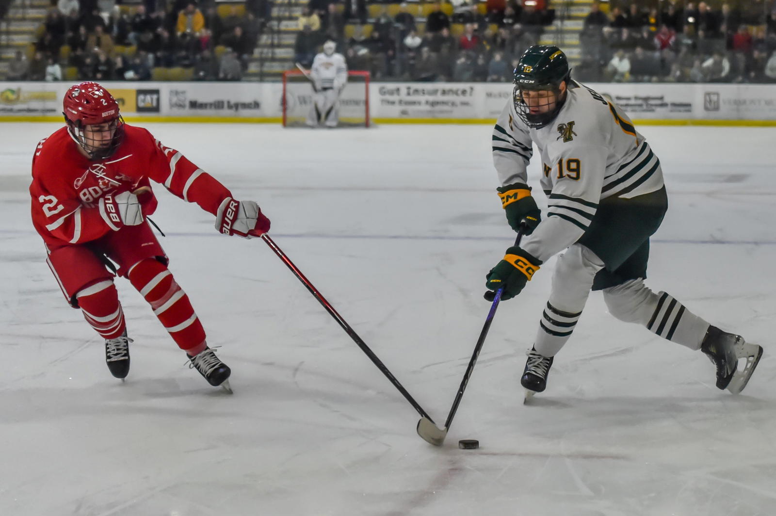 Boston University's Gavin McCarthy pokes the puck away from UVM's Simon Jellus during the Terriers' 5-1 win over the Catamounts on Friday evening at Gutterson Fieldhouse