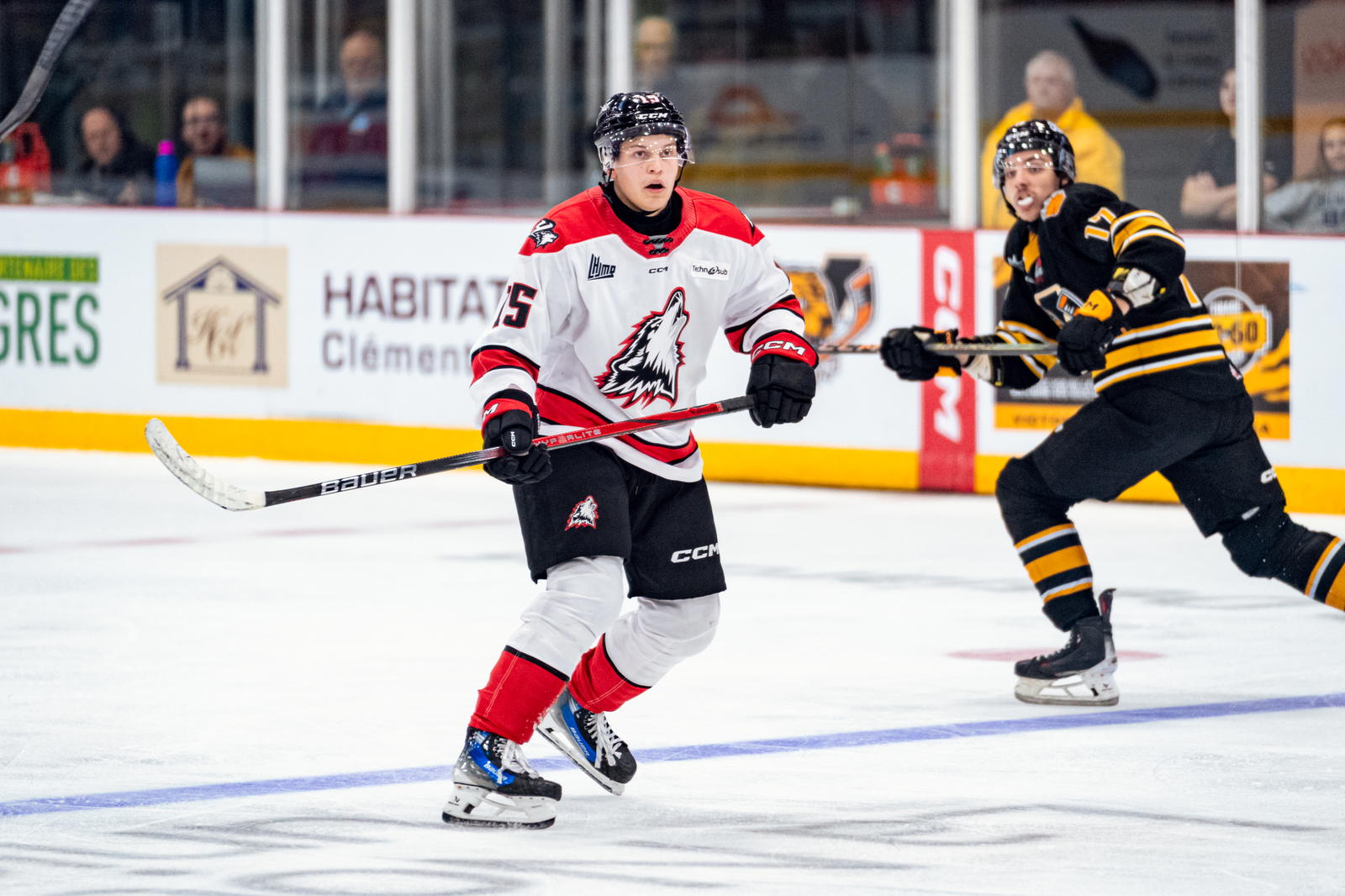Lars Steiner with the Rouyn-Noranda Huskies. (Photo: Rouyn-Noranda Huskies)