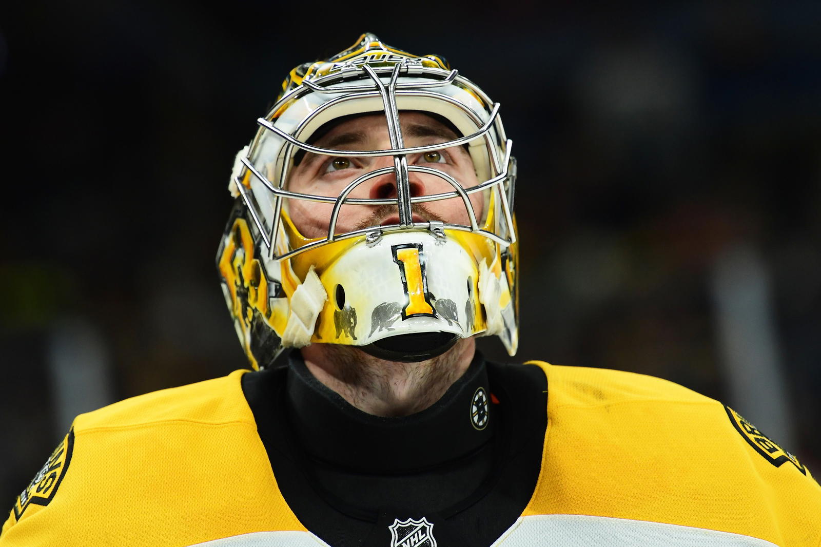 Jeremy Swayman (Bob DeChiara-Imagn Images)