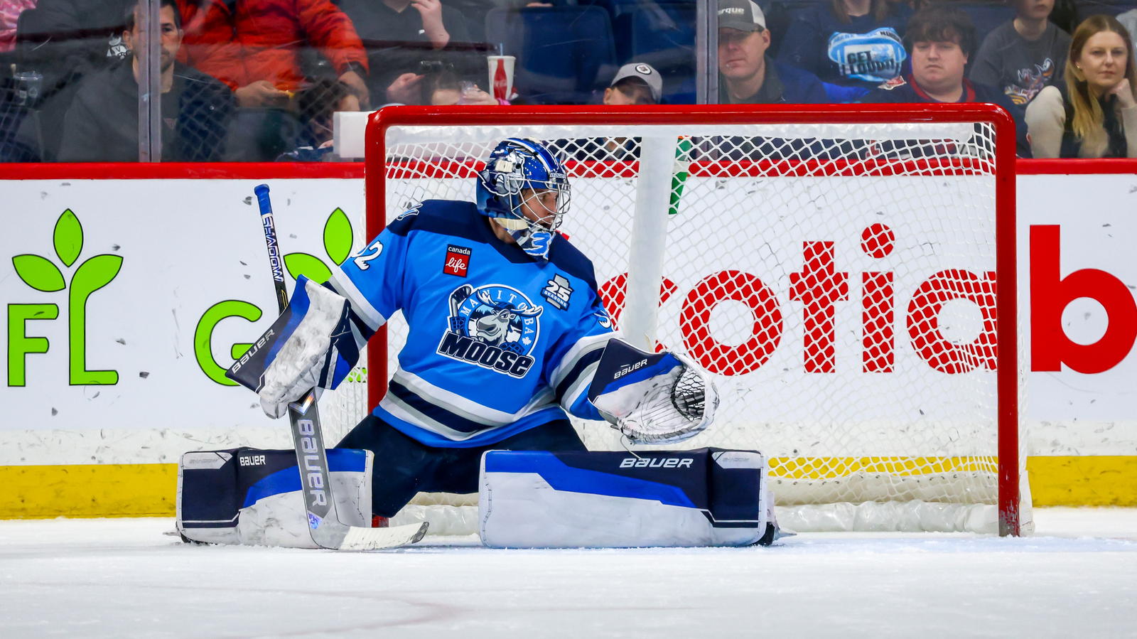 Winnipeg's AHL Moose Riding Winning Streak As Milic, Zhilkin Heat Up Ahead Of Home Stand