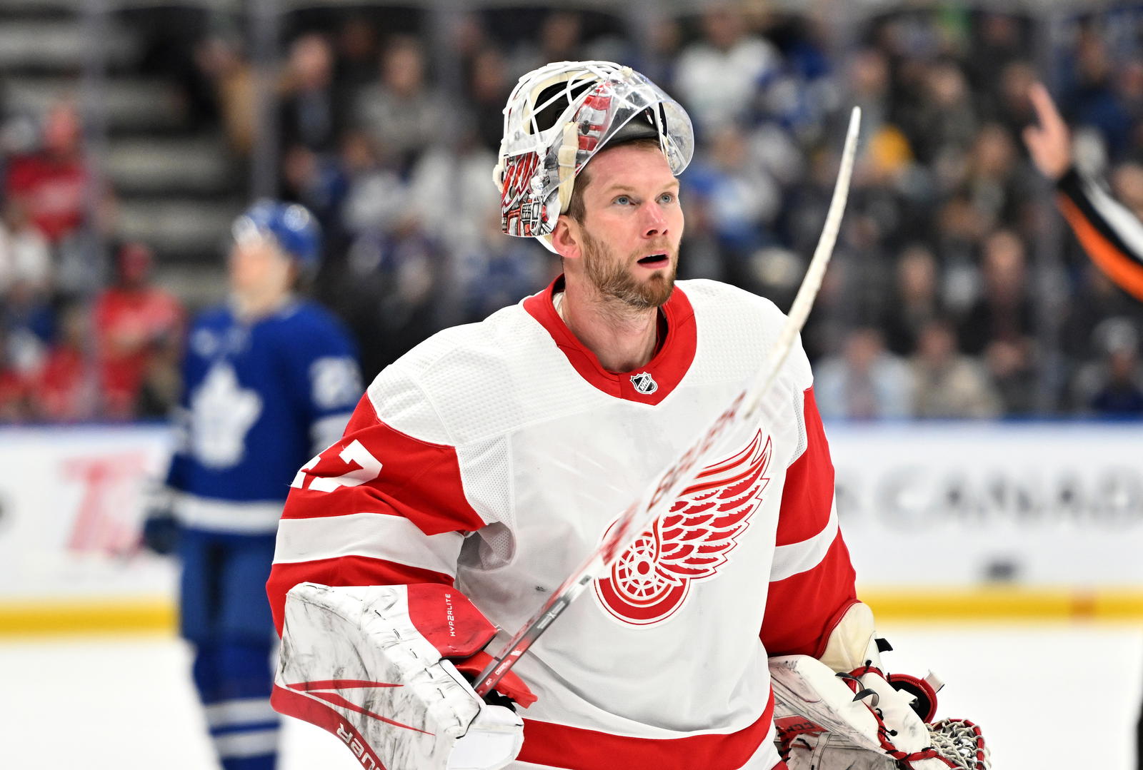 Former Red Wings Goaltender James Reimer Released from Maple Leafs PTO