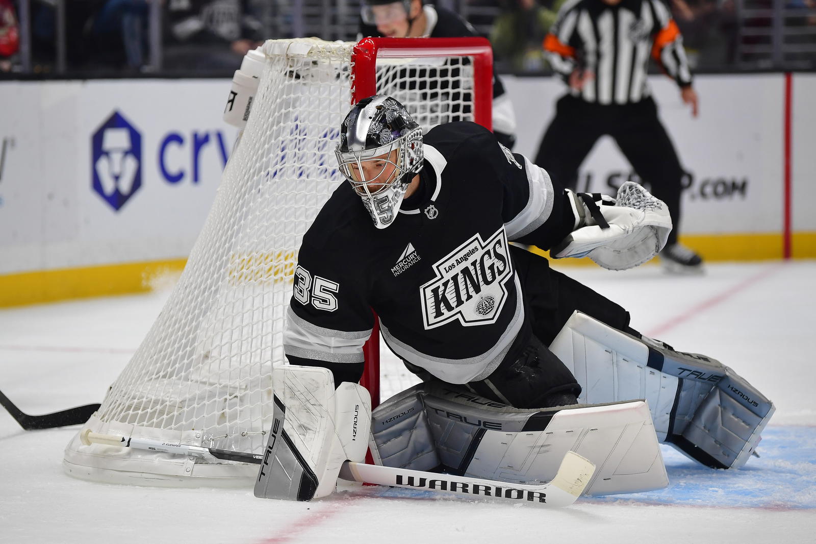 Darcy Kuemper (Gary A. Vasquez-Imagn Images)