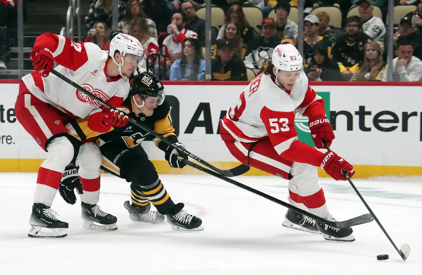 Projecting Red Wings' Defensive Pairings For The 2025-26 Season cover image