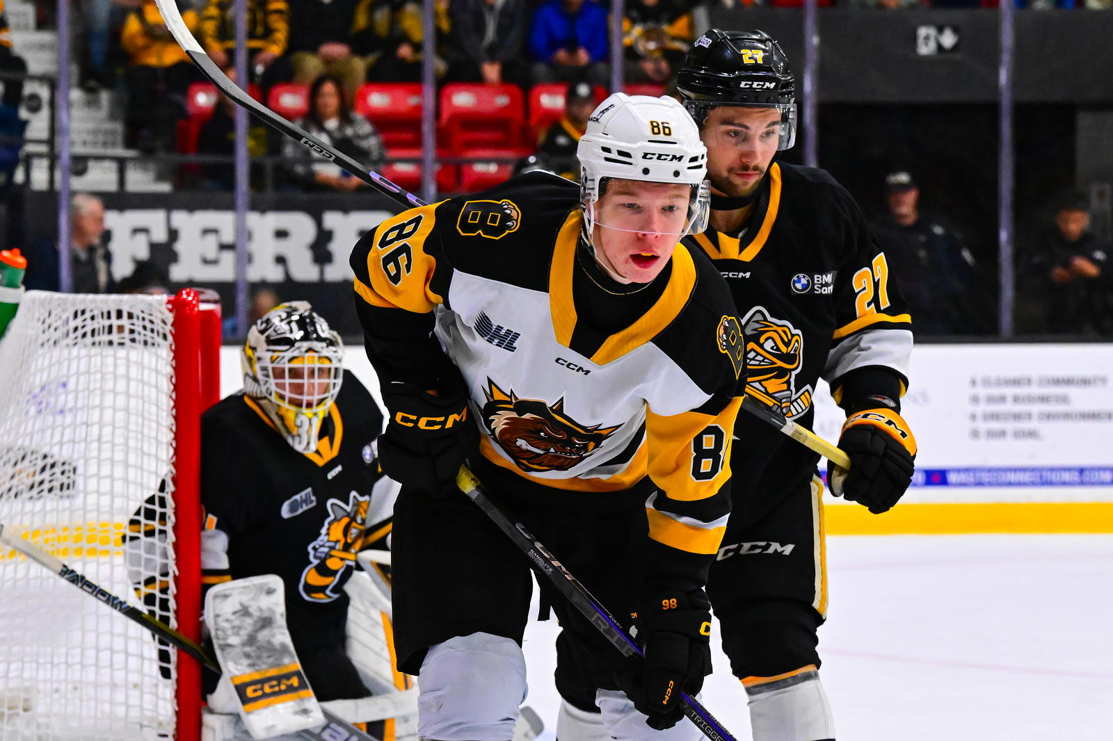 <i>Now former Brantford Bulldogs forward Joshua Avery. Photo credit: Brandon Taylor/OHL Images</i>