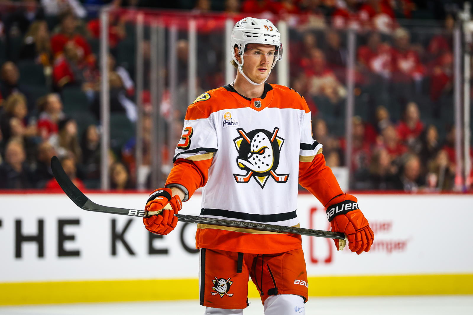 Apr 3, 2025; Calgary, Alberta, CAN; Anaheim Ducks defenseman Drew Helleson (43) against the Calgary Flames during the third period at Scotiabank Saddledome. Mandatory Credit: Sergei Belski-Imagn Images