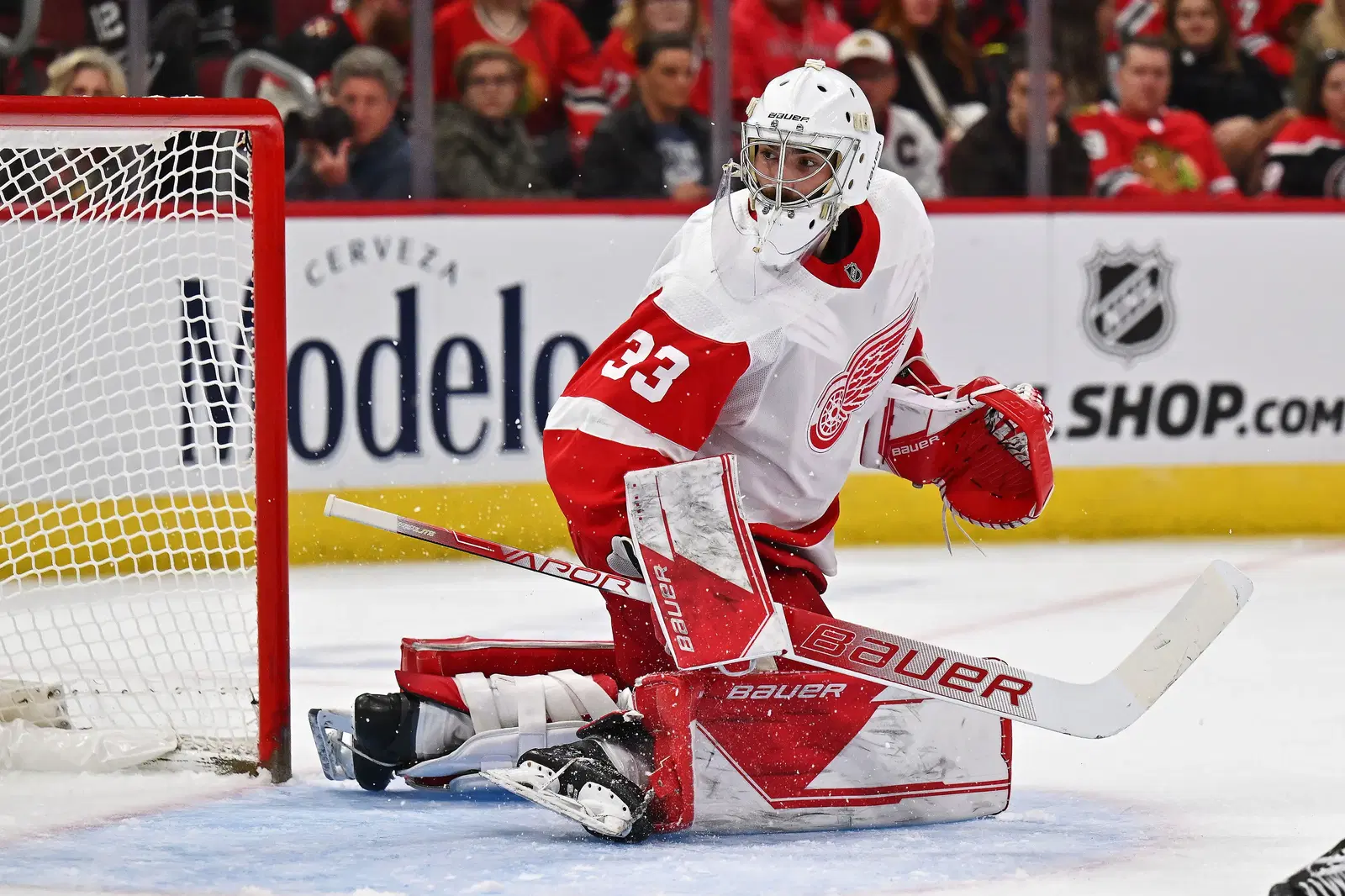 Detroit AHL Coach Says Cossa Will Be Firmly in the Mix for Red Wings Backup Role cover image
